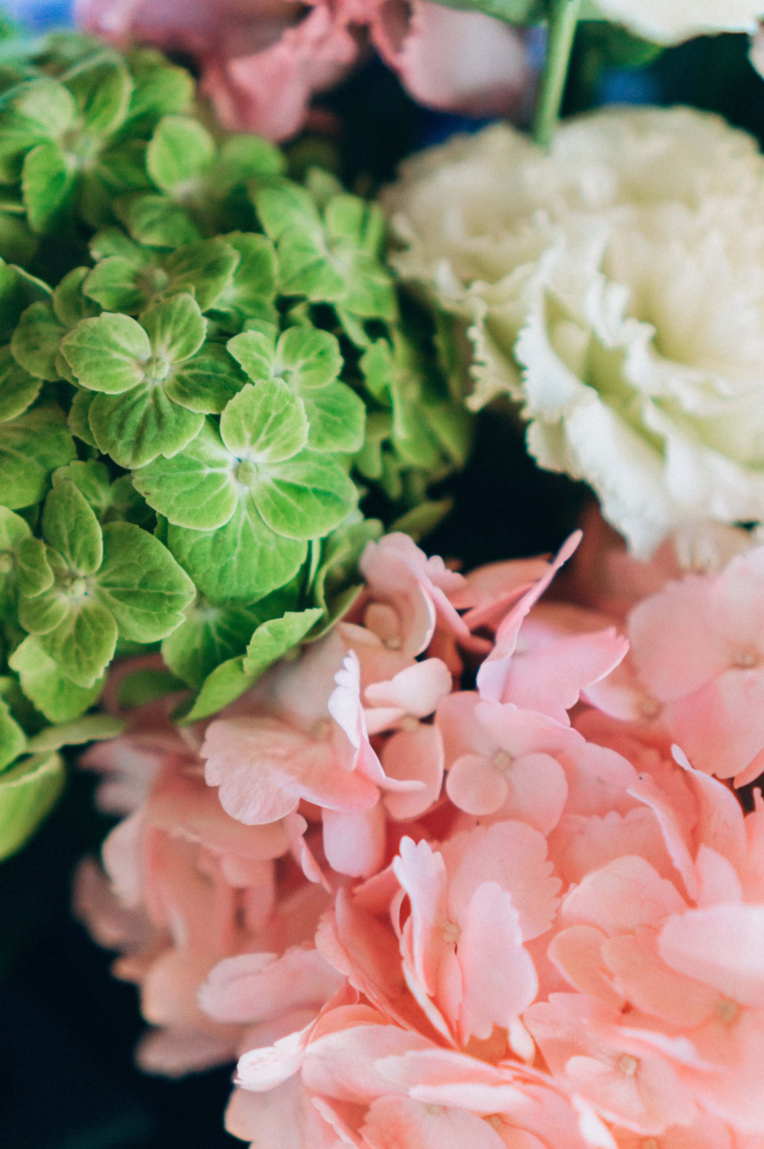 Мастер-класс по флористике. Обо мне