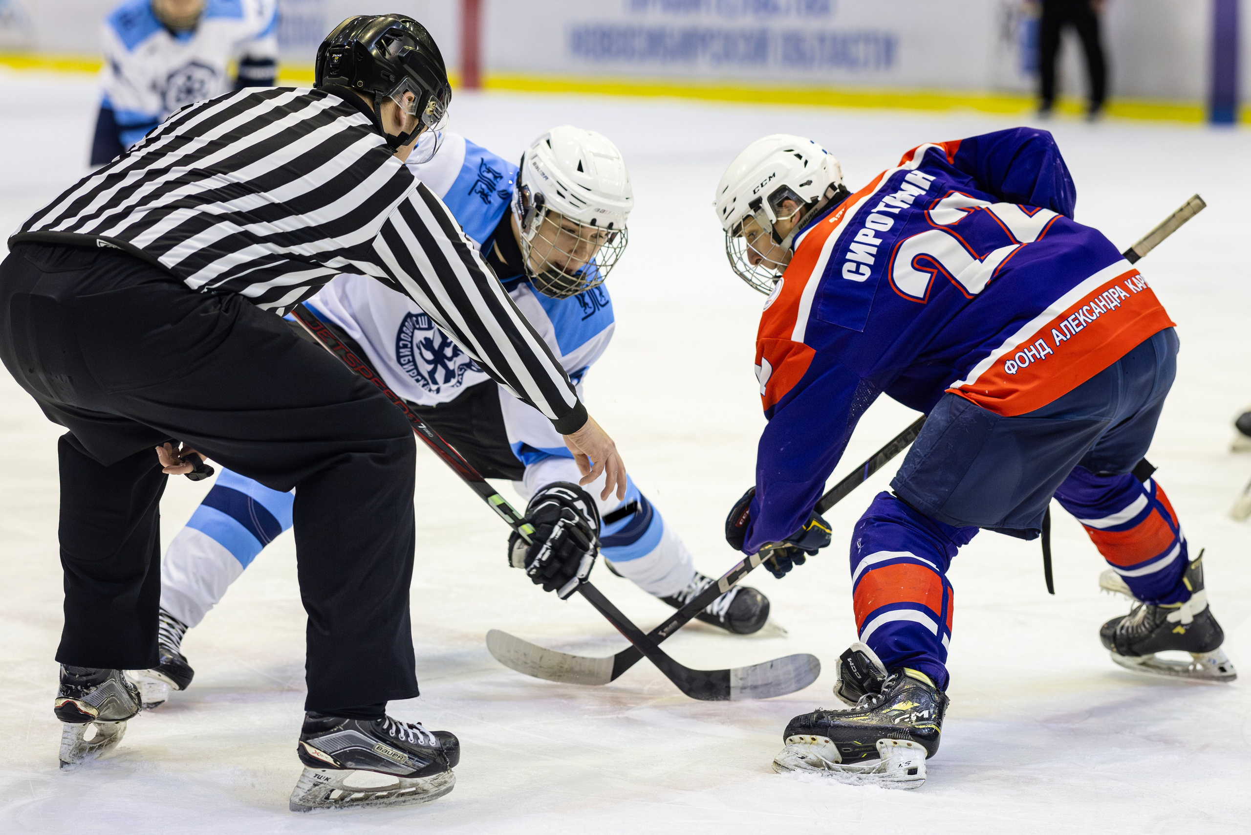 Сибирь (ЮХЛ). Bertran Ordo