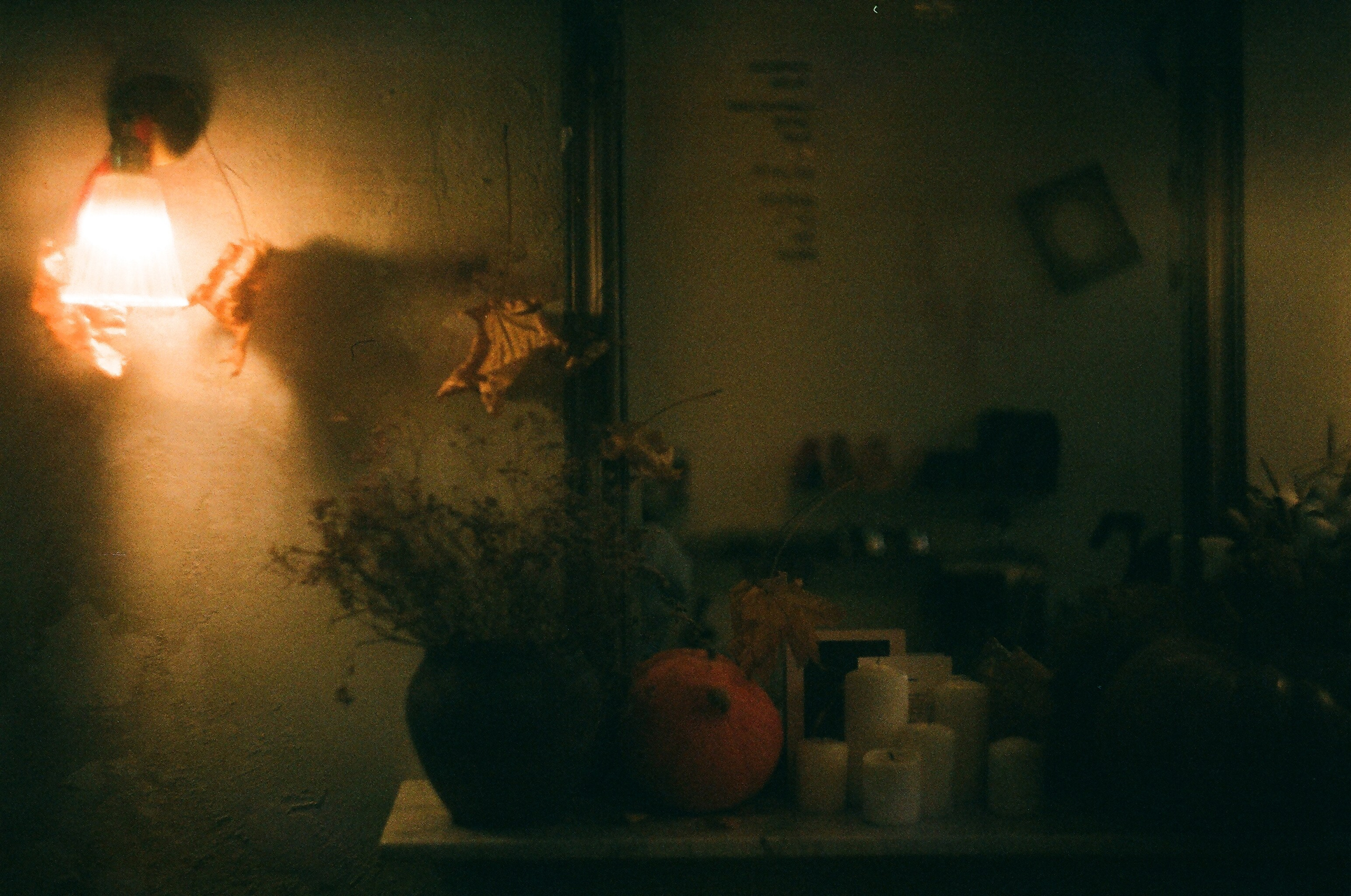 Пленочные съемки. Фотограф YODLUCE