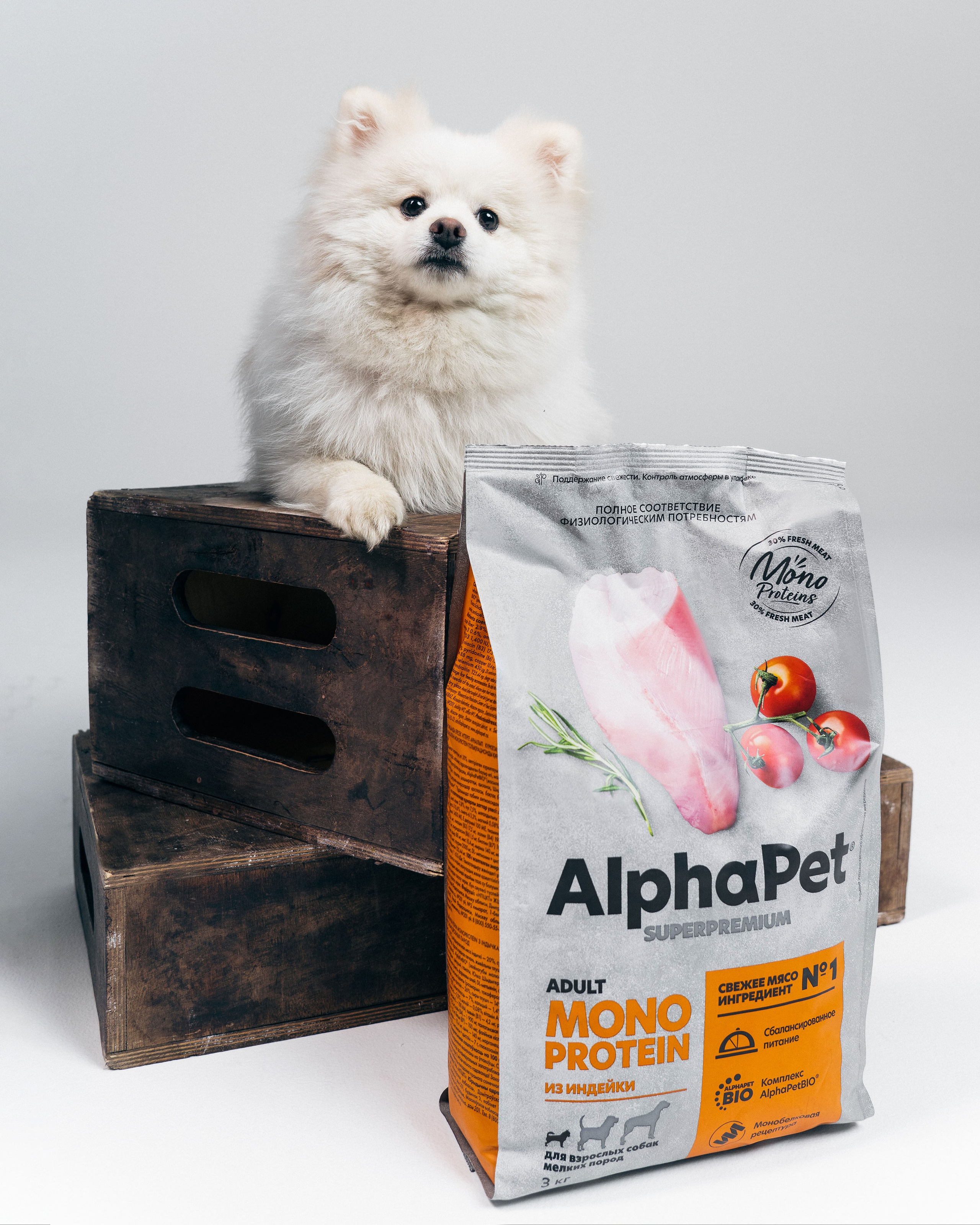 AlphaPet. Фотограф Москва