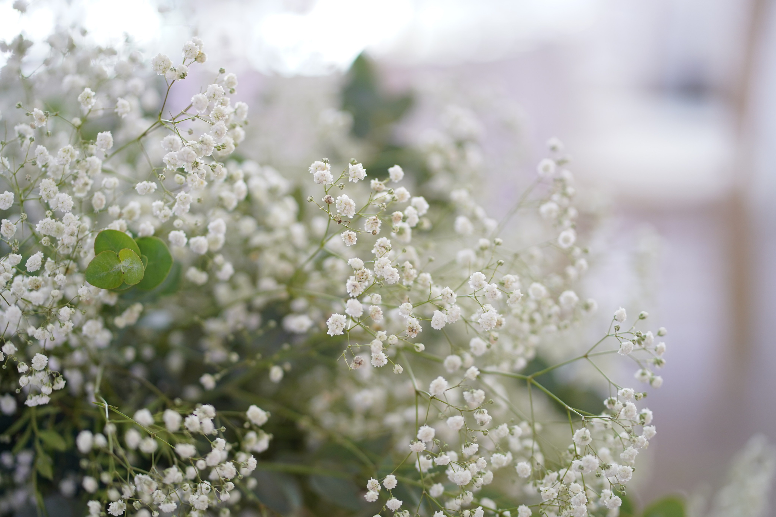 Алексей и Алёна. Семейный и свадебный фотограф Минск, Беларусь Анна Орловская