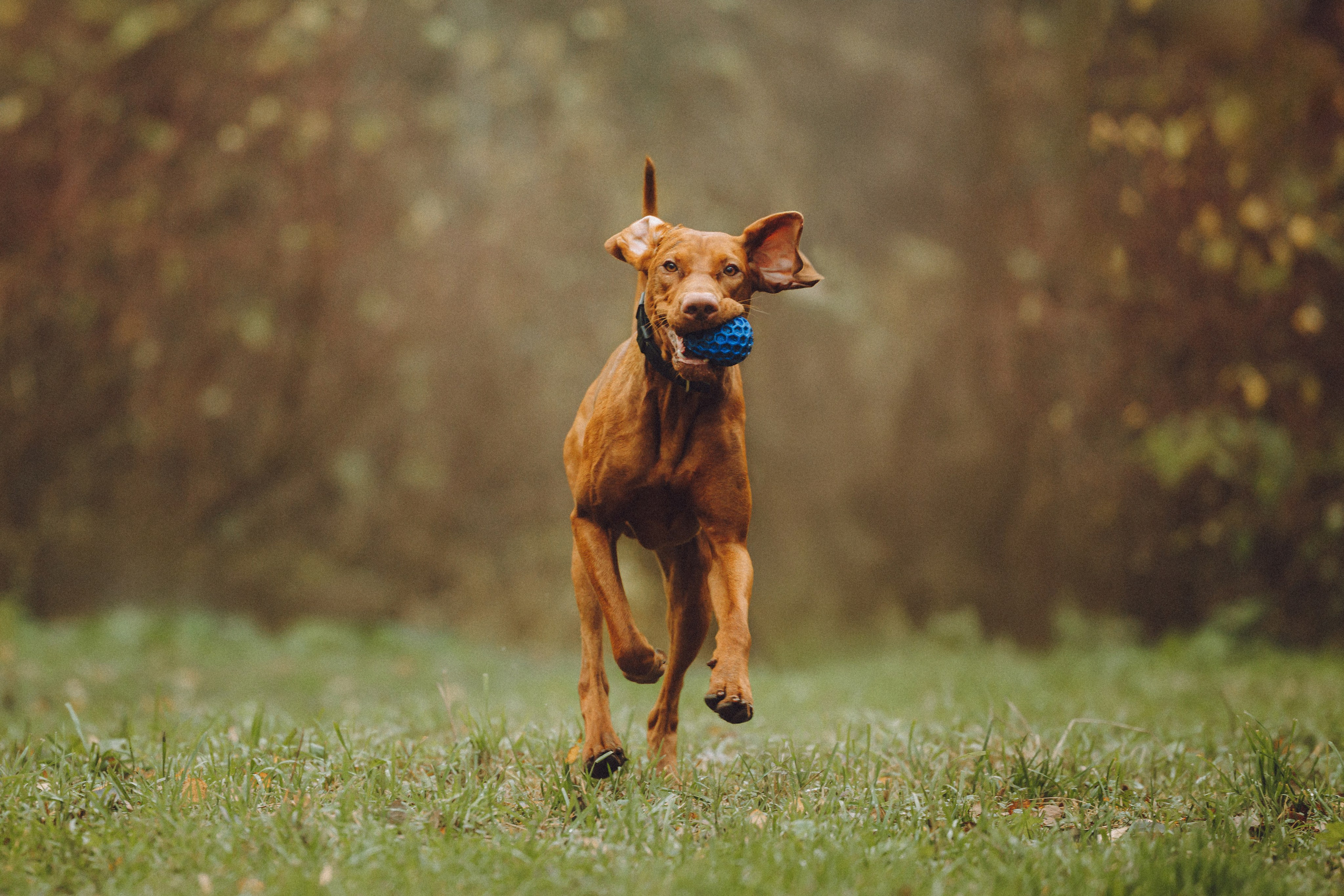 Дориан и его семья