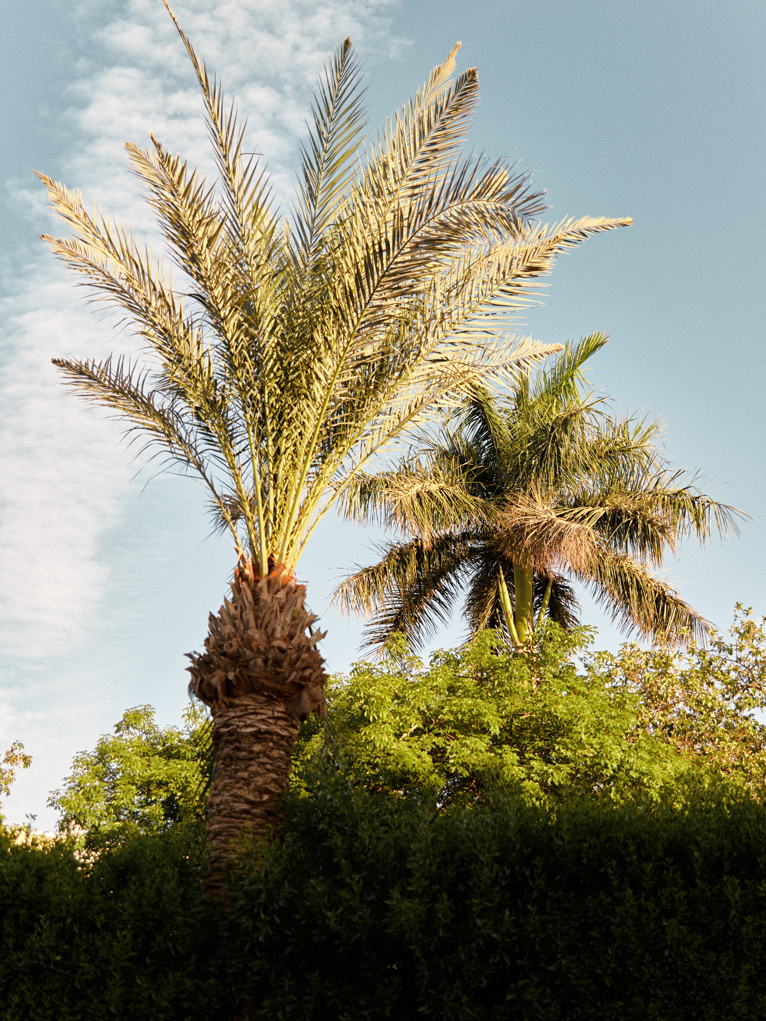 Природа. Jorgis Talè — photographer, kind person, teacher of arts and other mag