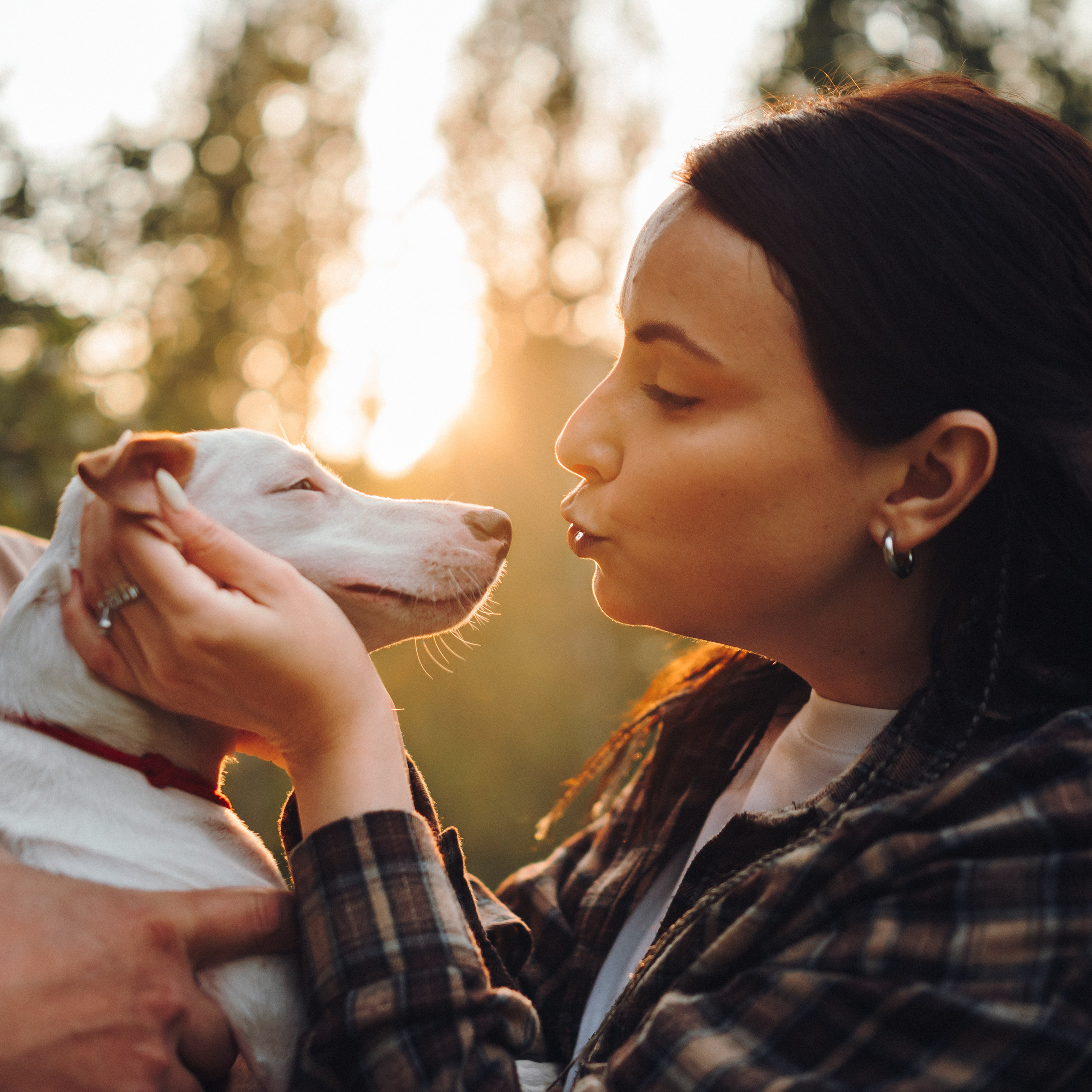 Алена, Илья, Даня и Данте. Семейный фотограф анималист Ананьева Мария — Москва