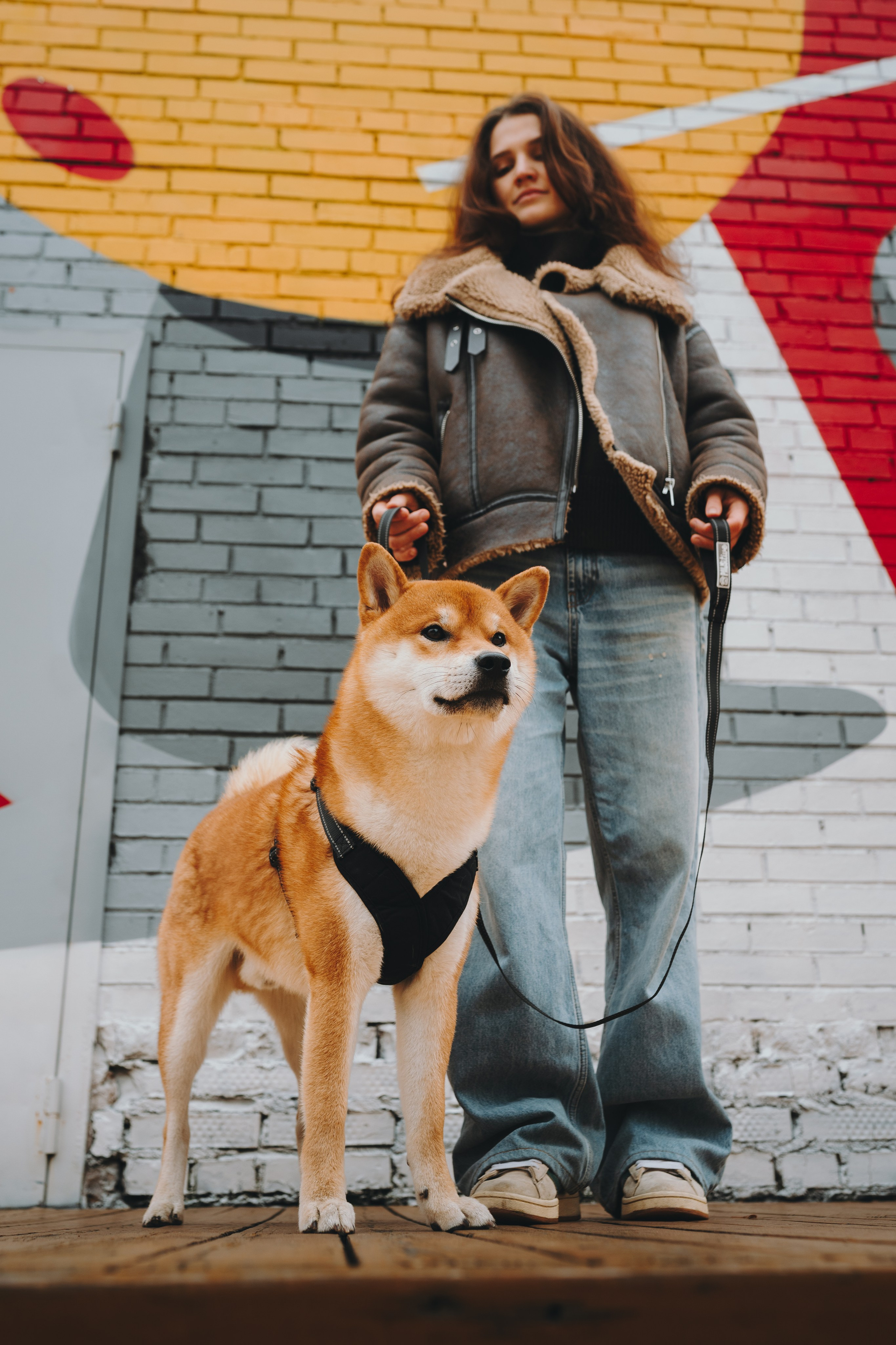 Pawsitive. Семейный фотограф анималист Ананьева Мария — Москва