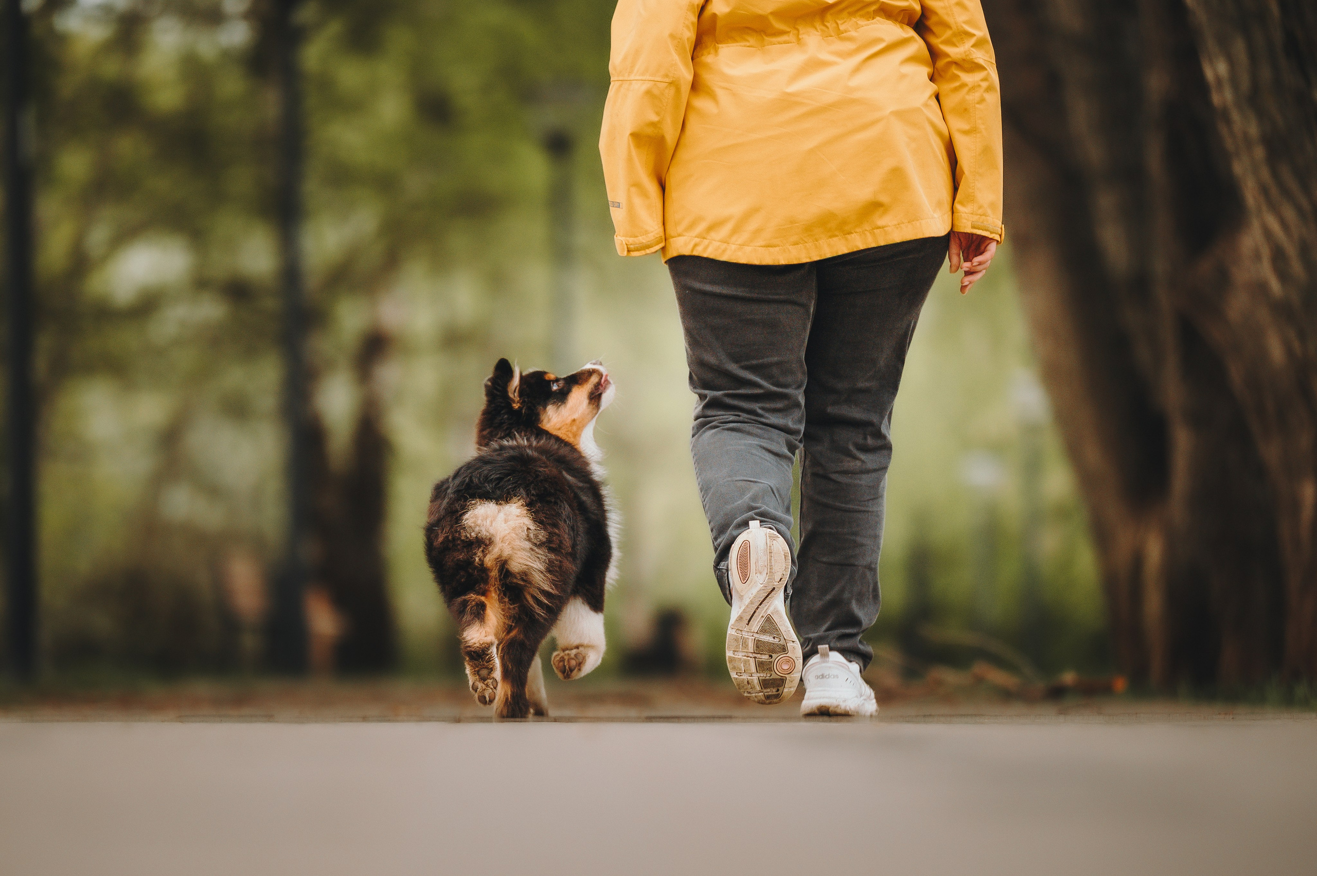 Софья и Сажик. Семейный фотограф анималист Ананьева Мария — Москва