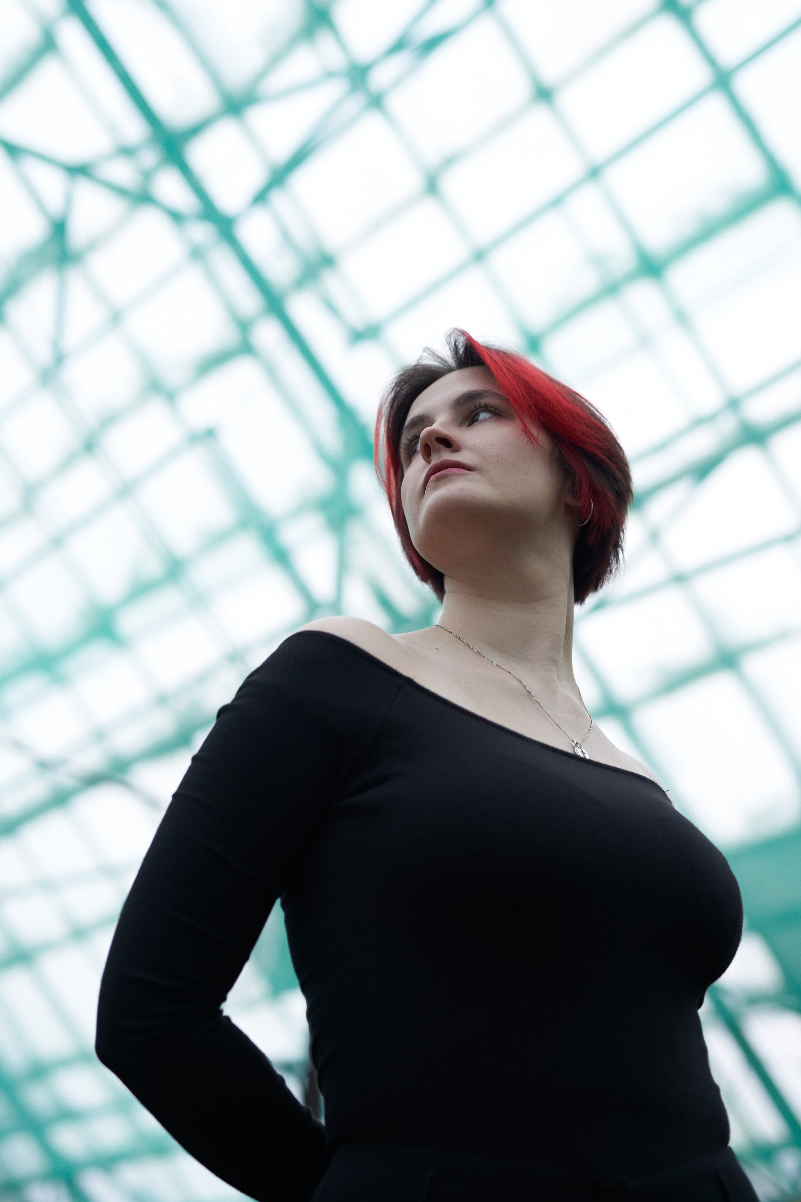 Wild Les. Александр Сазонов Красноярск