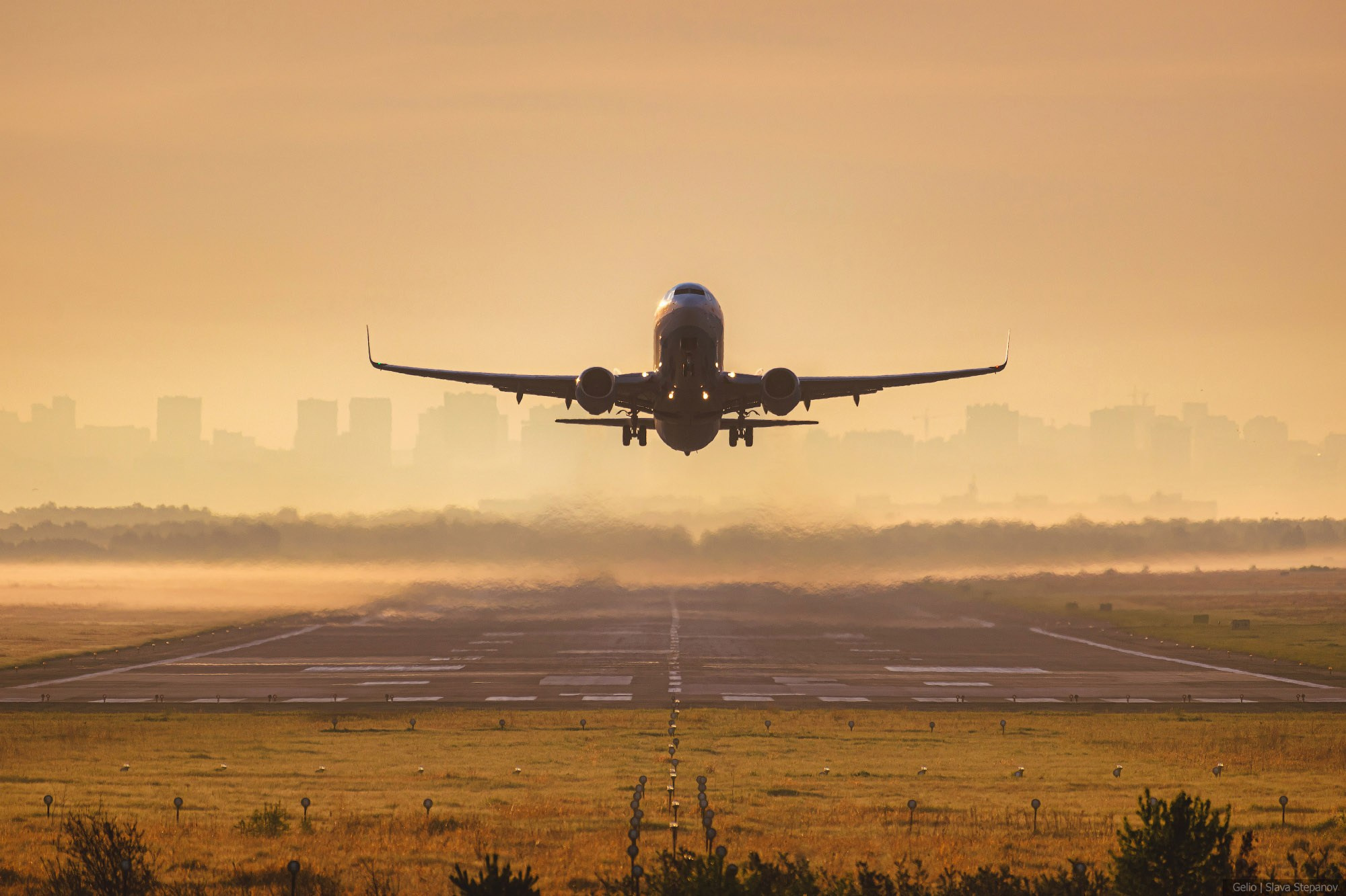 Аваиция. Фотограф Слава Степанов, Gelio