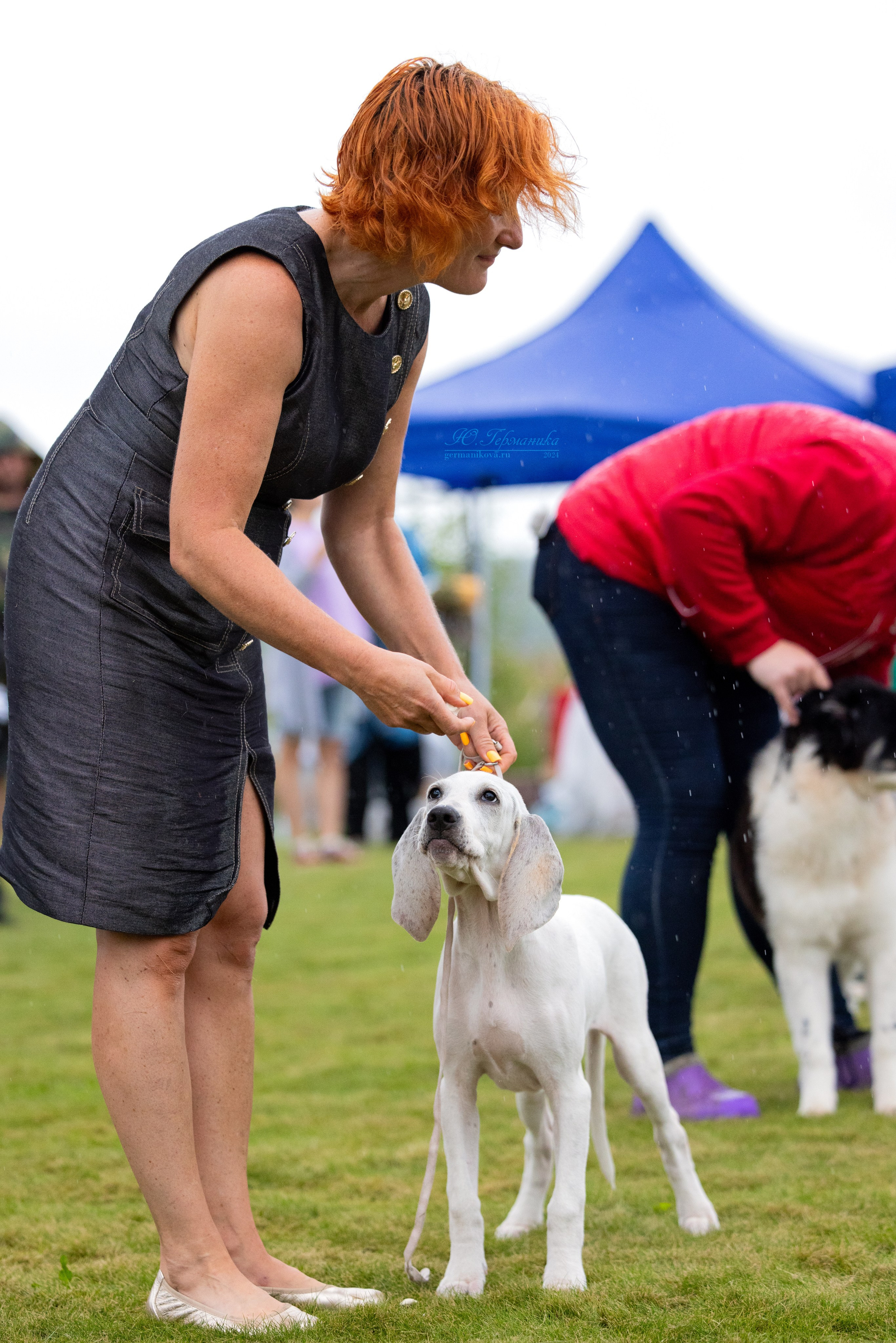 Ярославль 21.07.24 и Балашиха 13.07.24. Фотограф-анималист Юлия Германика
