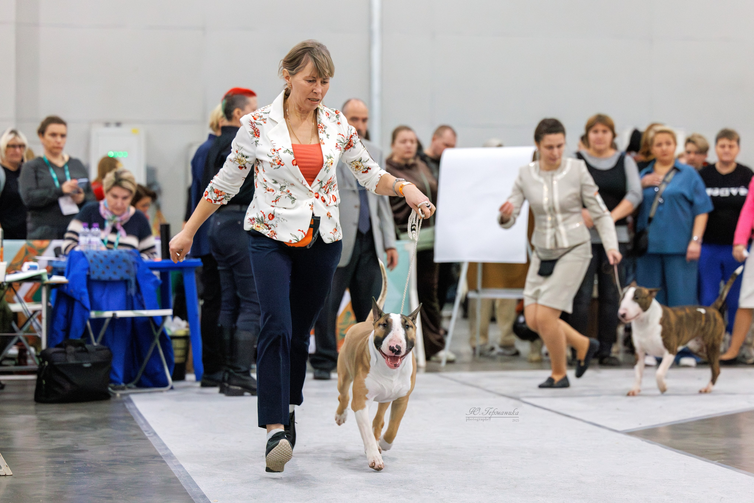 Евразия 15-16.11.2025. Фотограф-анималист Юлия Германика