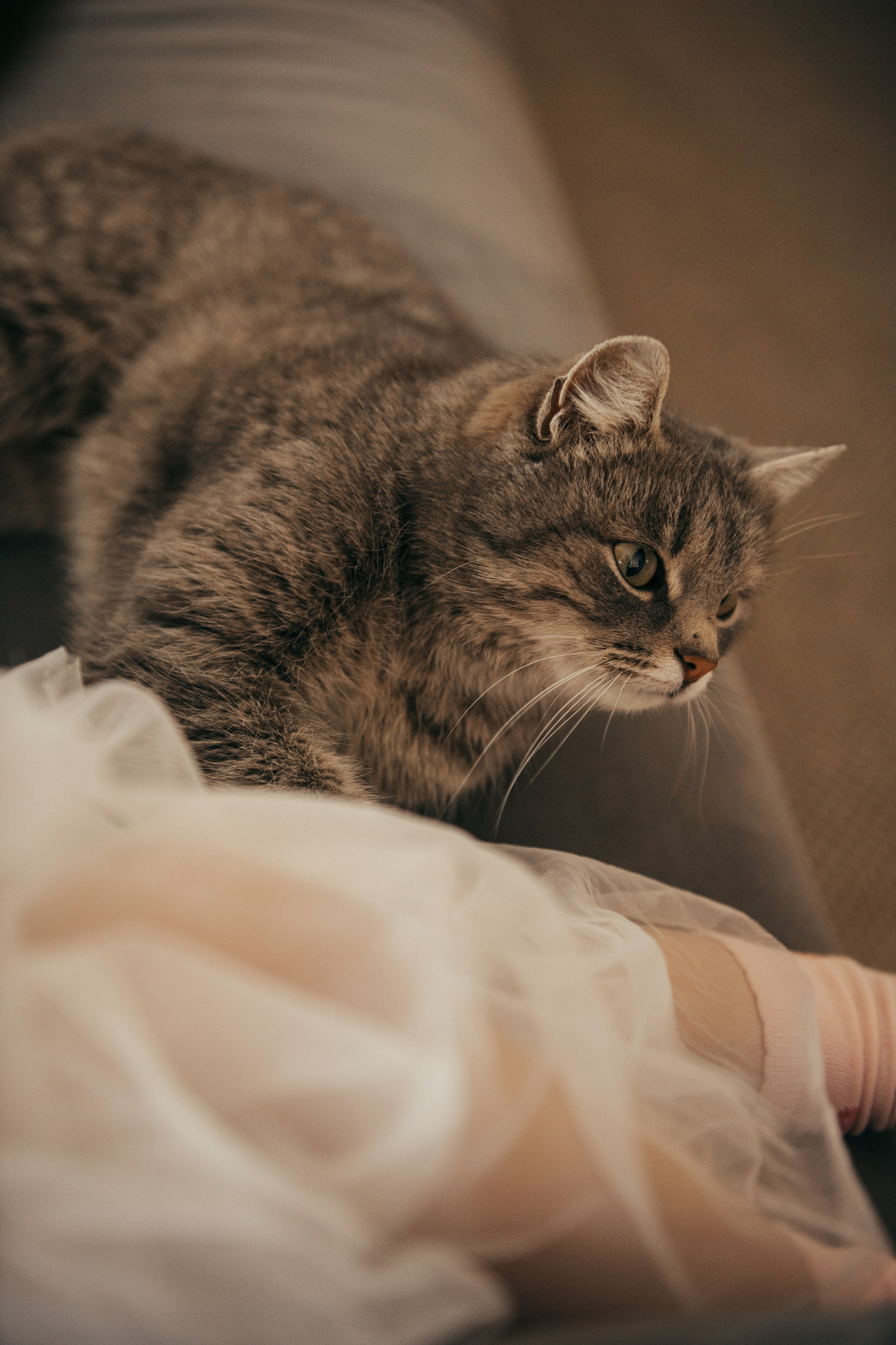 Я и мама. Свадебный и семейный фотограф Алиса Полякова |Старый Оскол | Воронеж