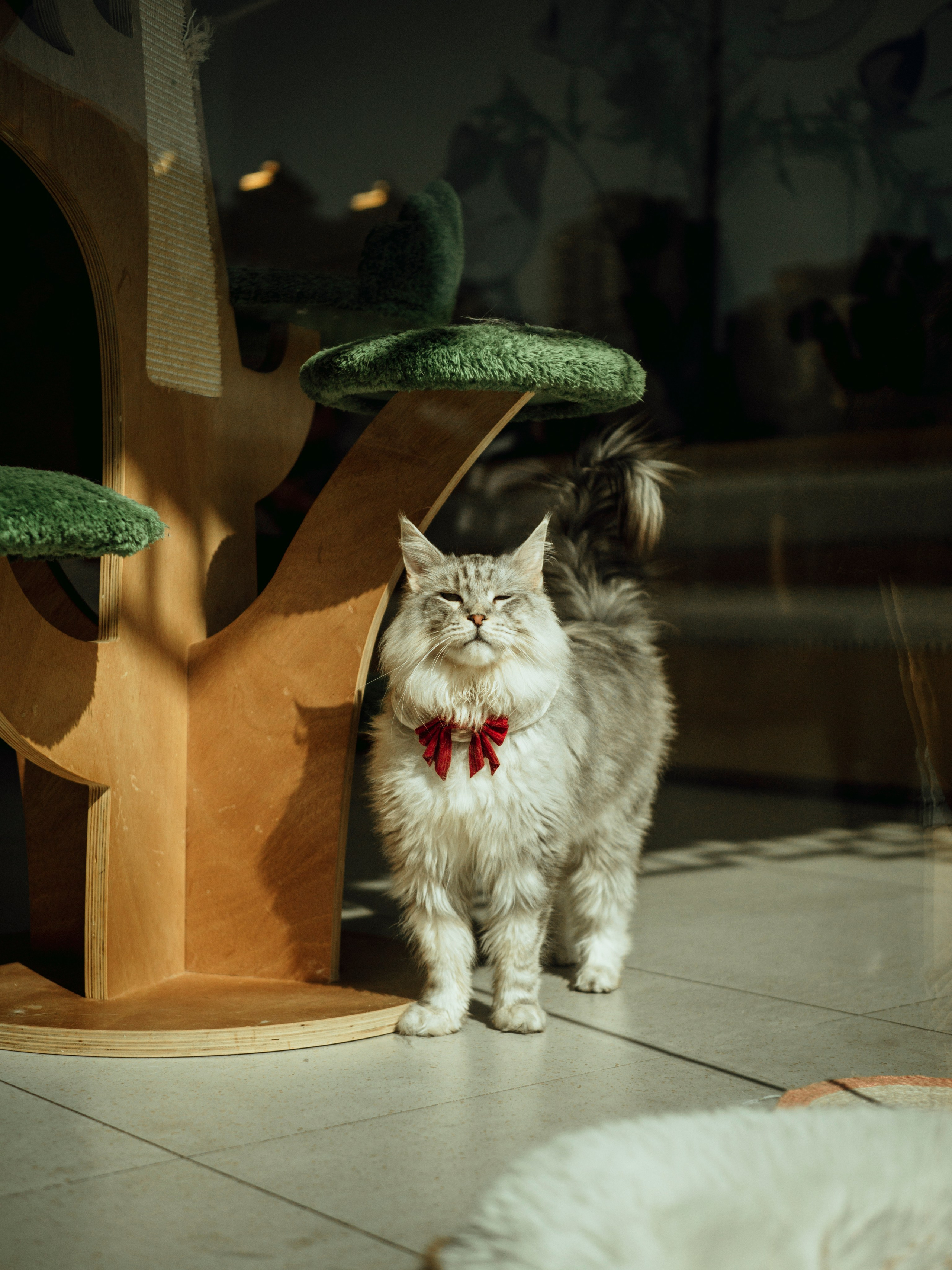 Shang Hai 上海. Фотограф и видеограф в Благовещенске и Санкт-Петербурге Мурыгина Мария
