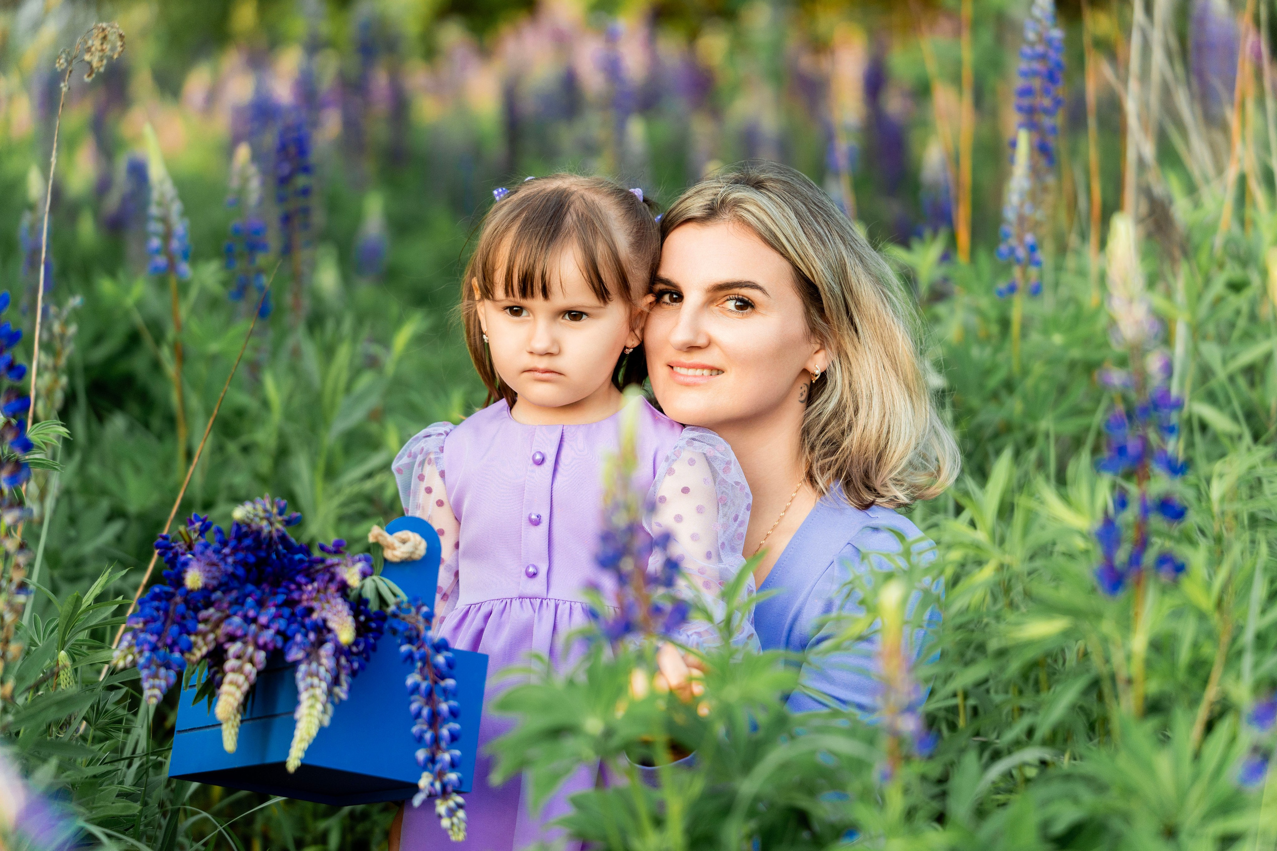Люпины. Фотограф Юлия Попова