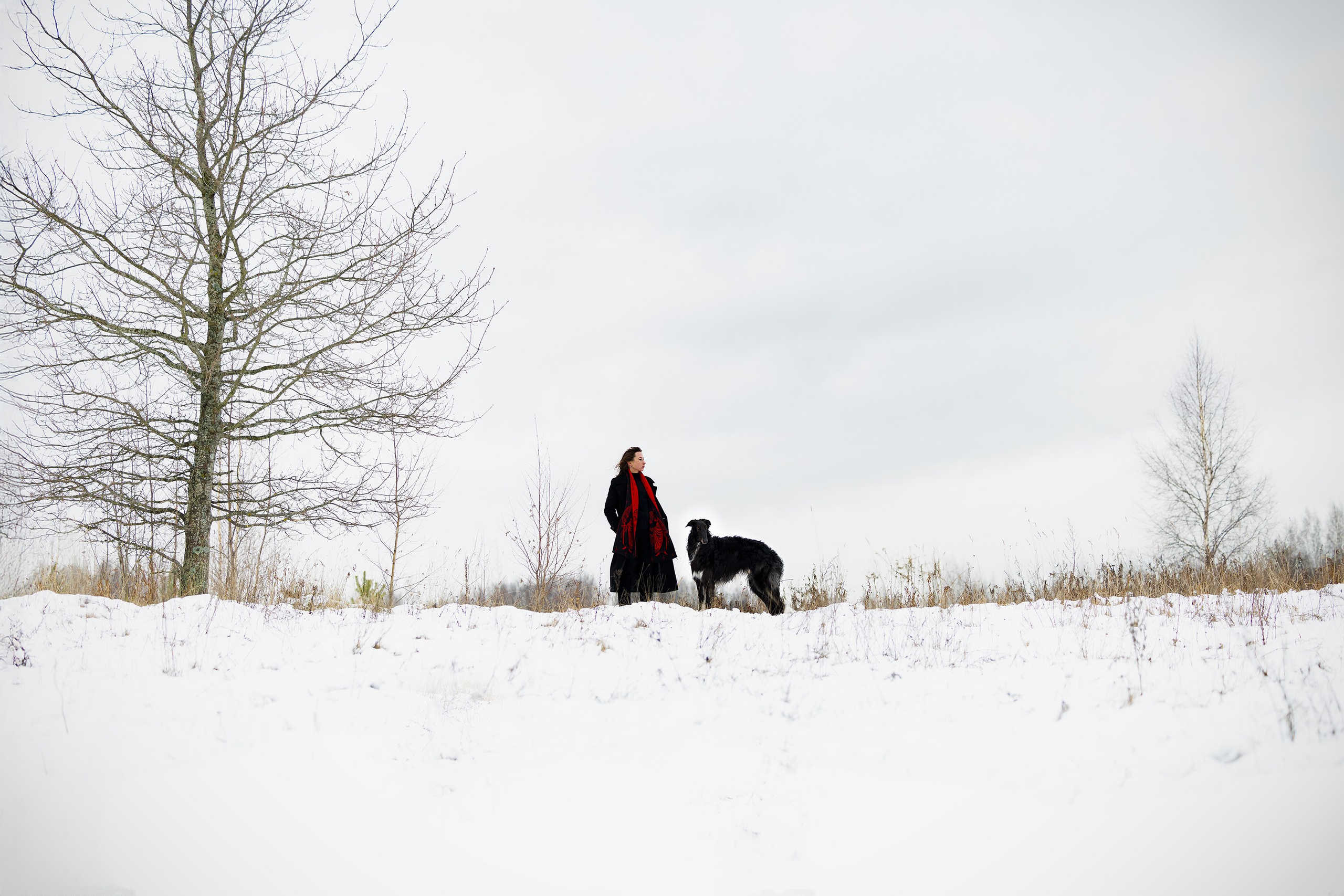 Катя и Гримм. Мои работы