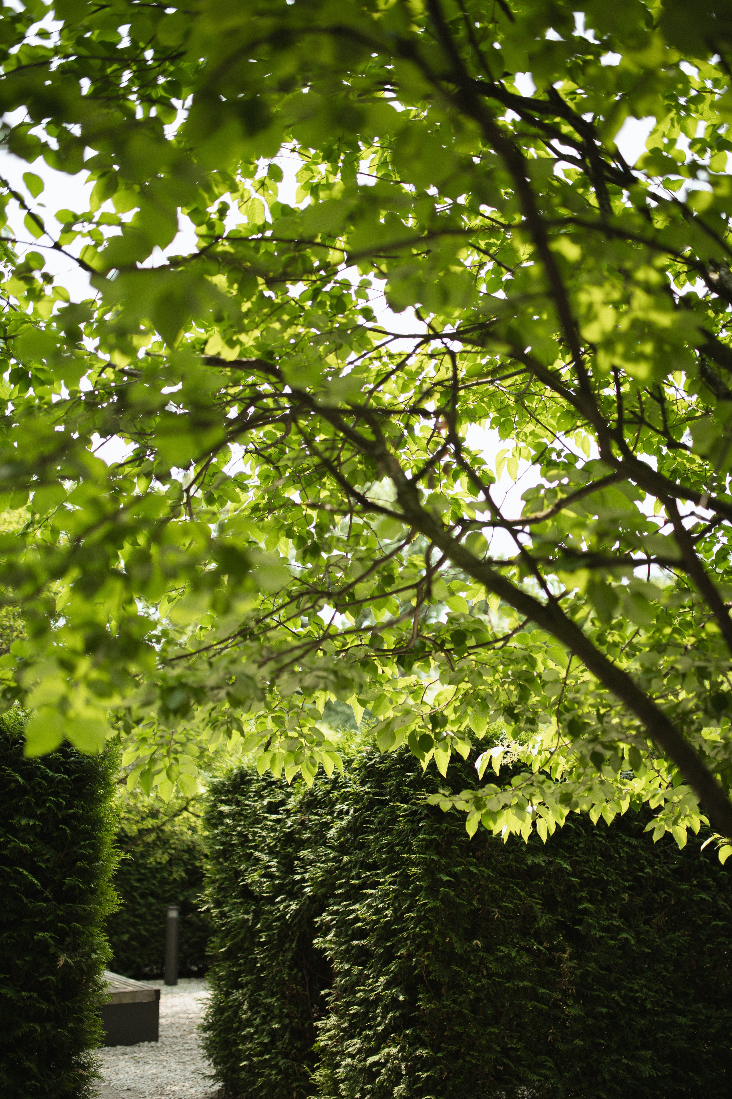 Фокус на свете. Фотограф Вышний Волочек/Тверь/Москва/Санкт-Петербург