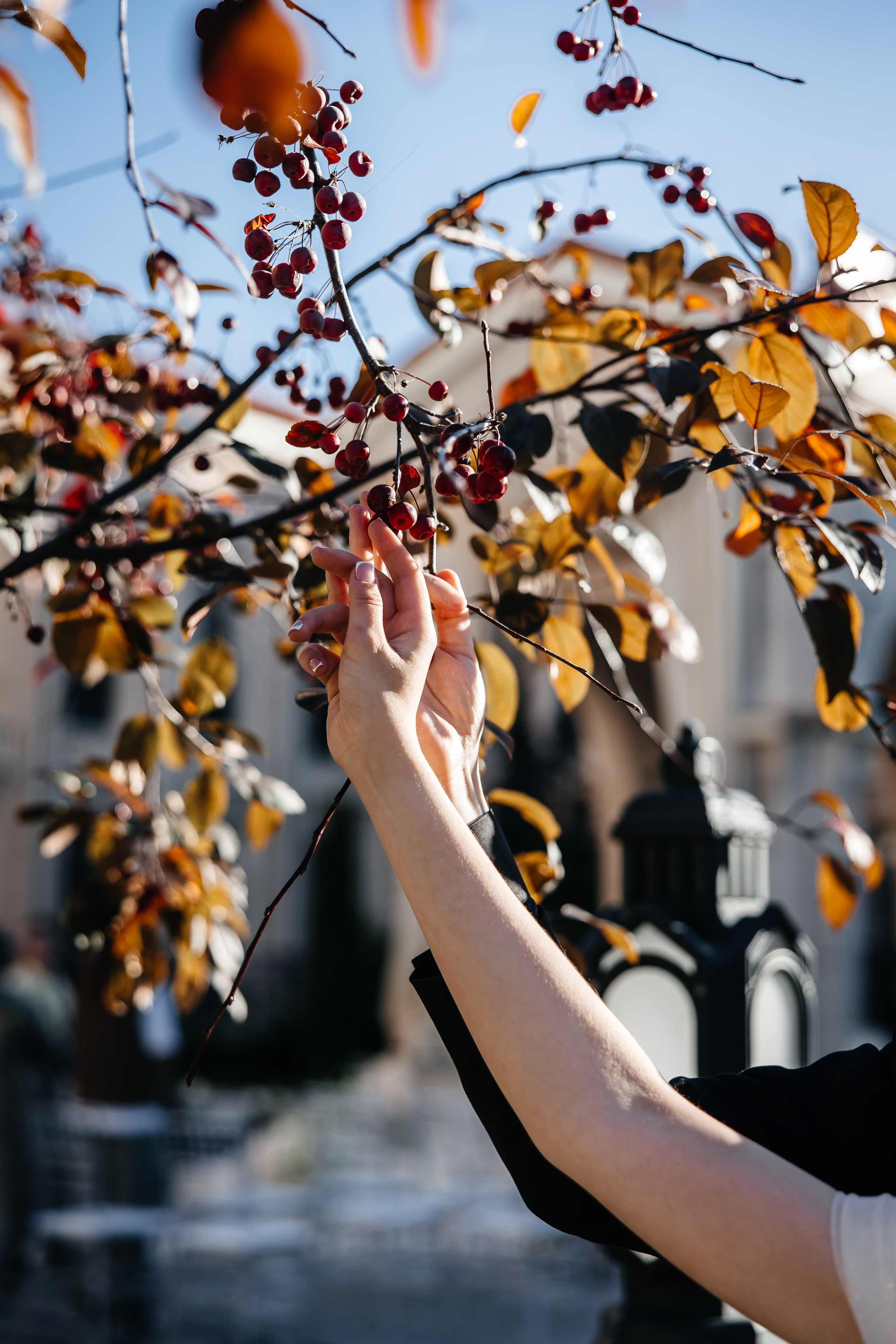 Анонс свадьбы для Наталии и Евгения. Свадебный фотограф в Крыму и Севастополе Ольга Баскакова