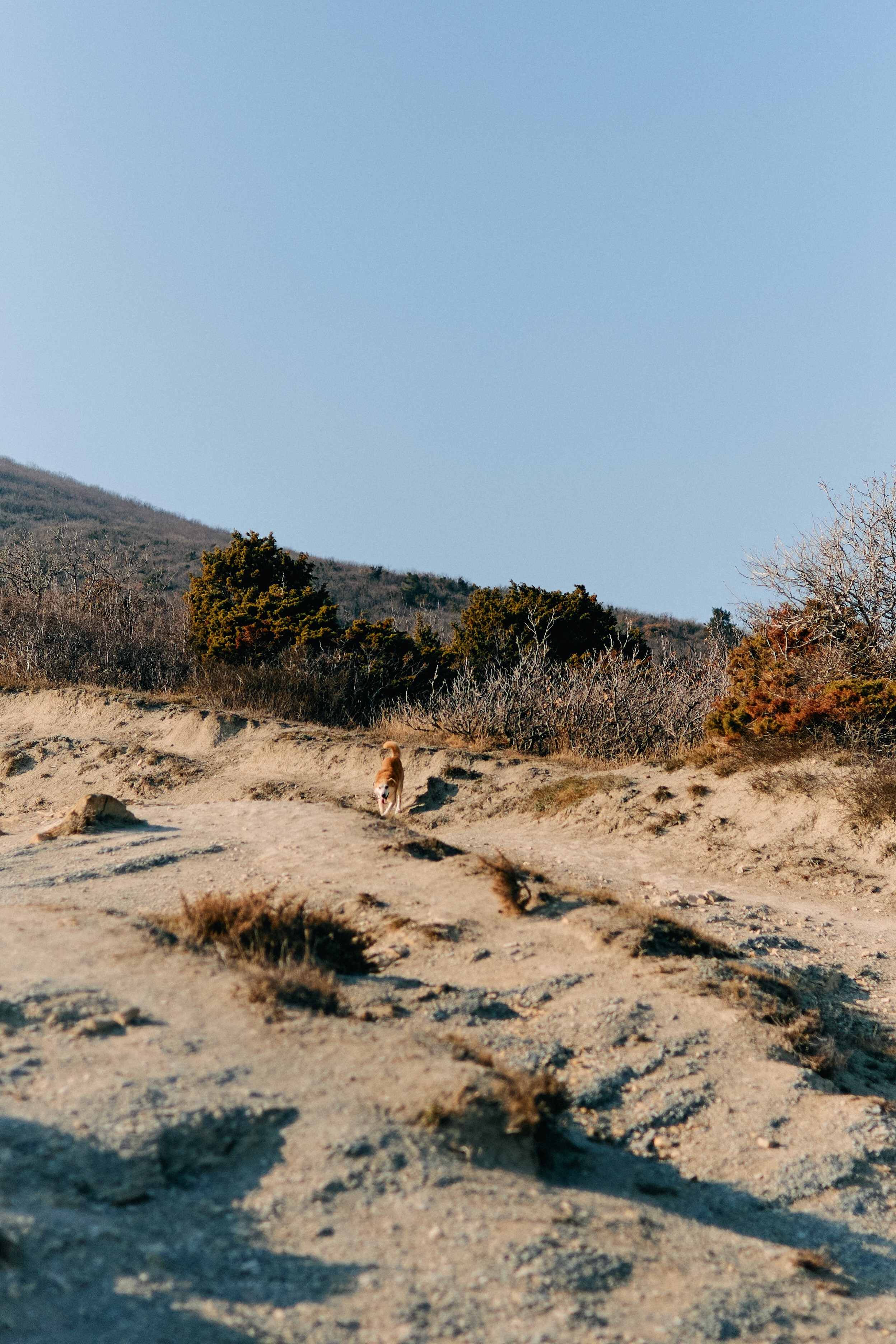 Юг России. Профессиональный Фотограф во Владимире, в Москве и в Суздале — Полина Романычева