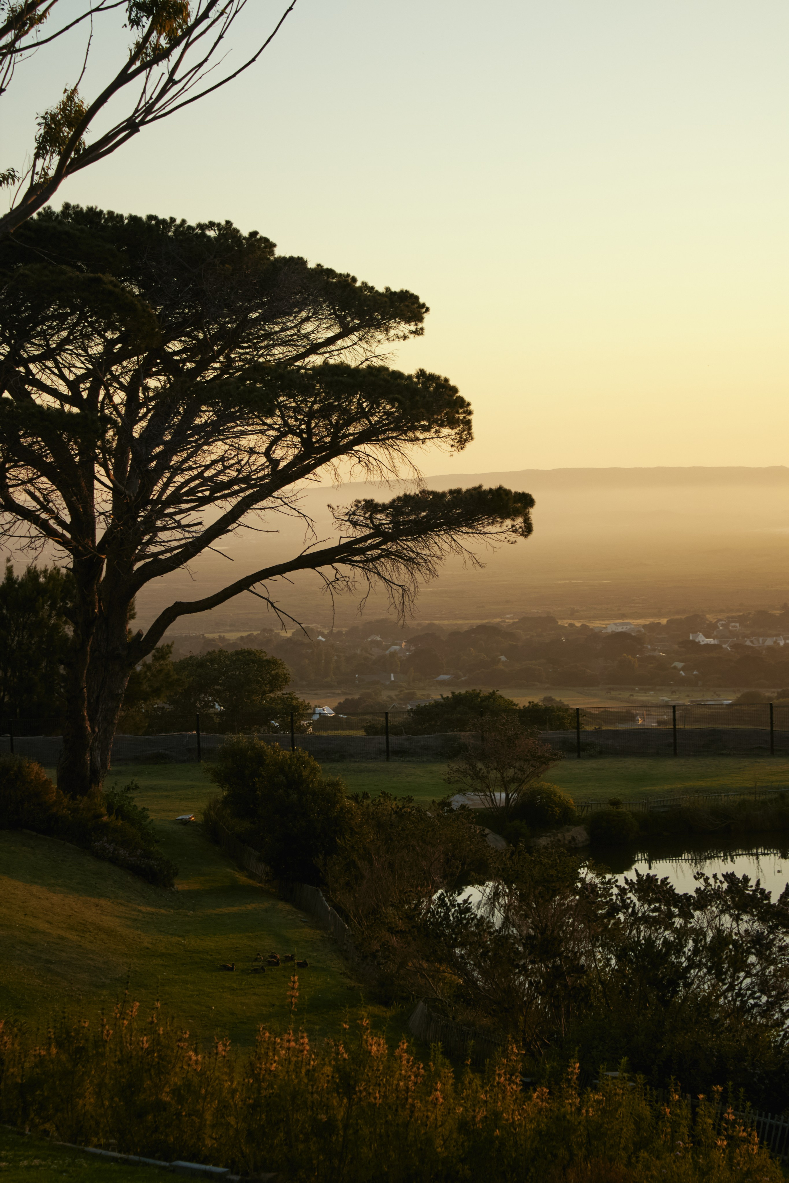ЮАР. Профессиональный Фотограф во Владимире, в Москве и в Суздале — Полина Романычева