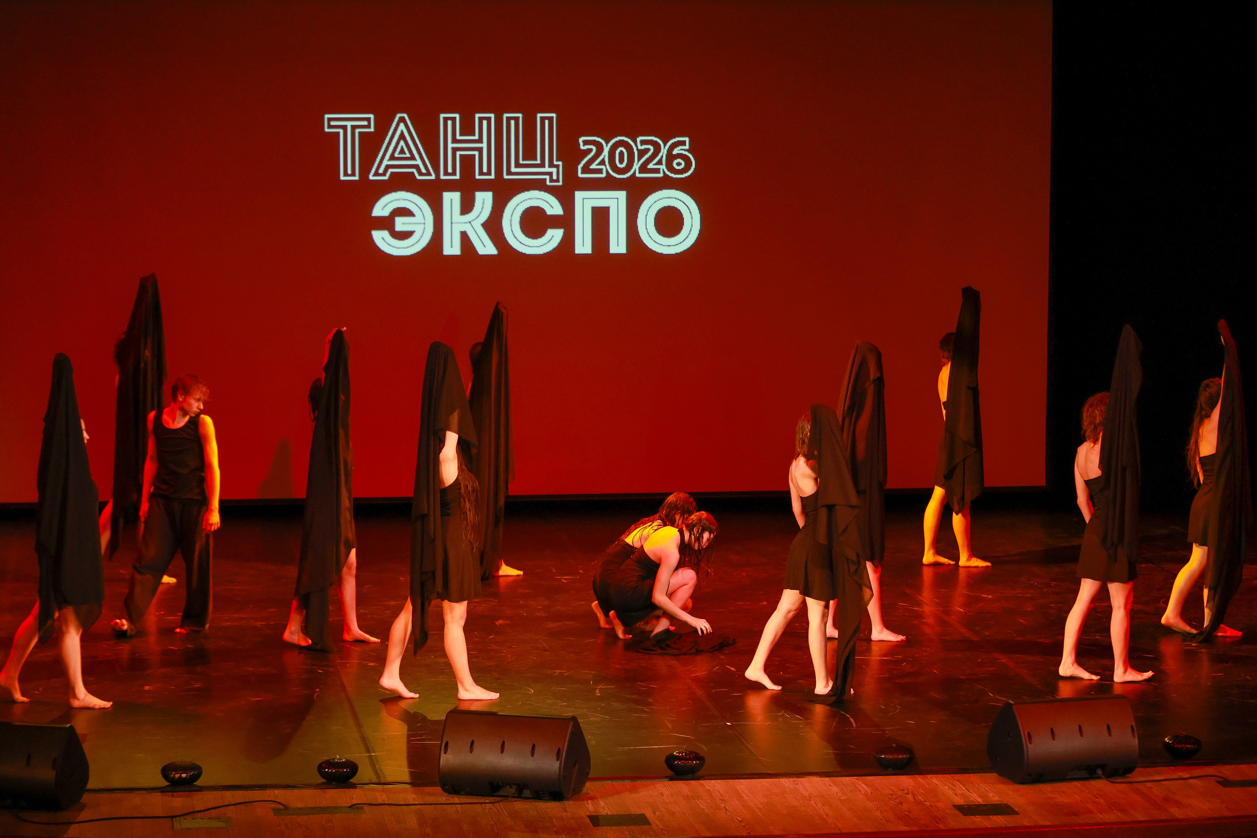 Небесные ласточки на Танц ЭКСПО 2026. Фотограф Юлия Мальцева