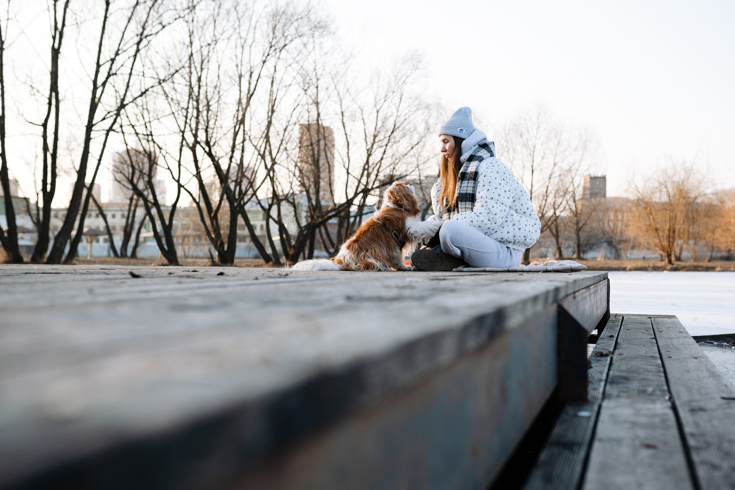 Лена и Арчи. Фотограф анималист в Москве Ольга Агушева