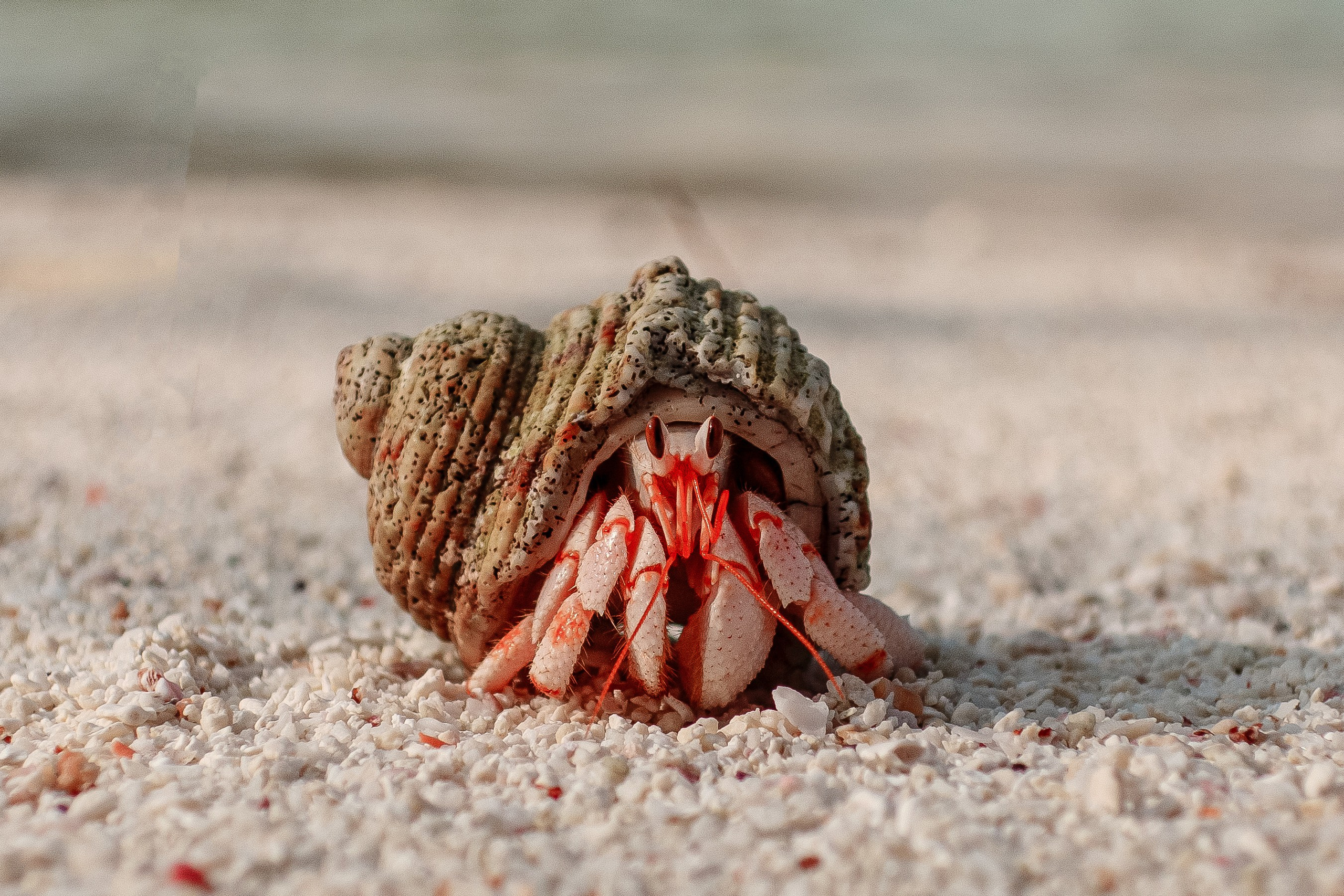 О.Тулусду. Мальдивы. Фотограф Светлана Голицына