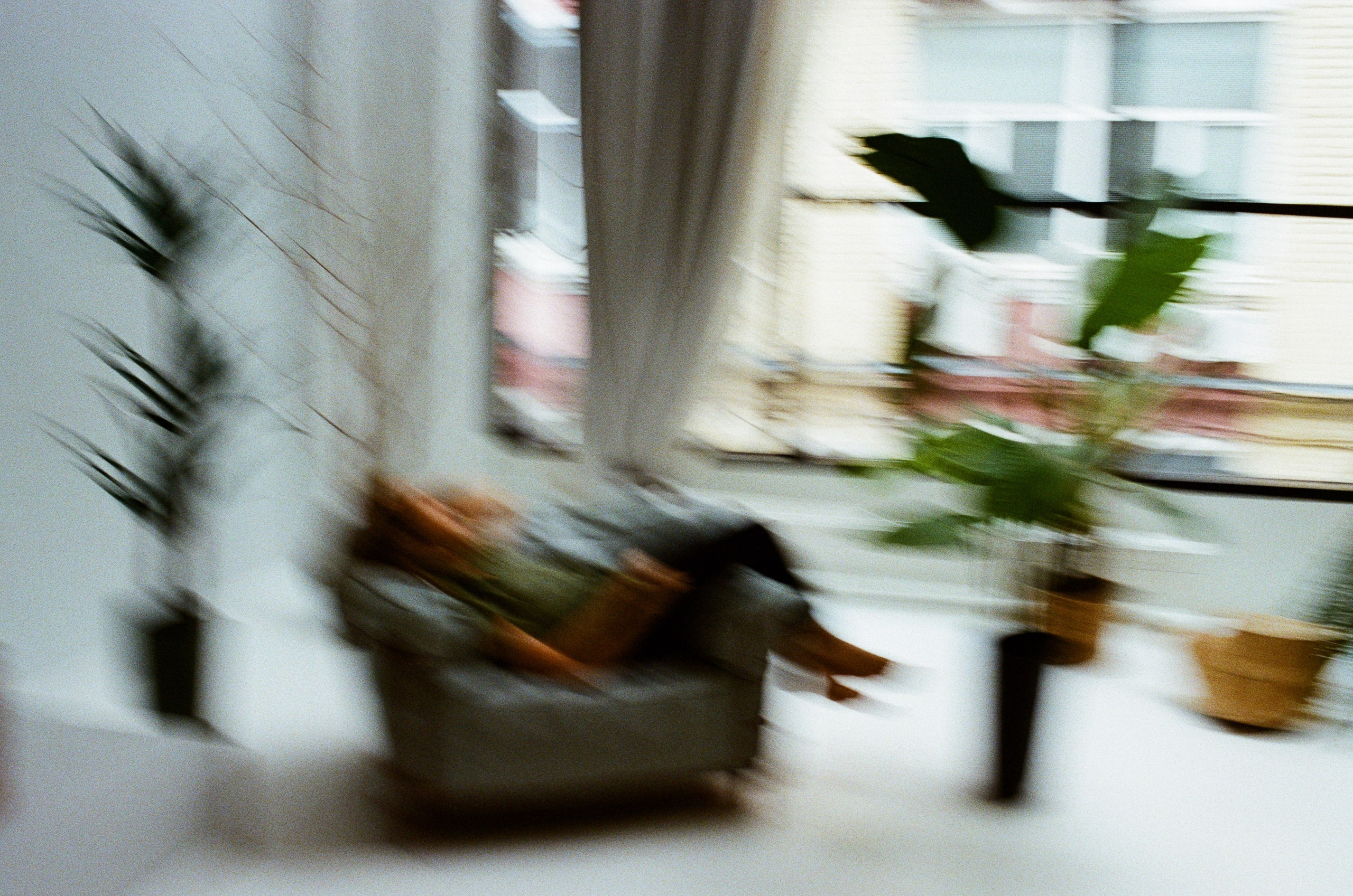 Ольга. Галя Аникина фотограф в Москве