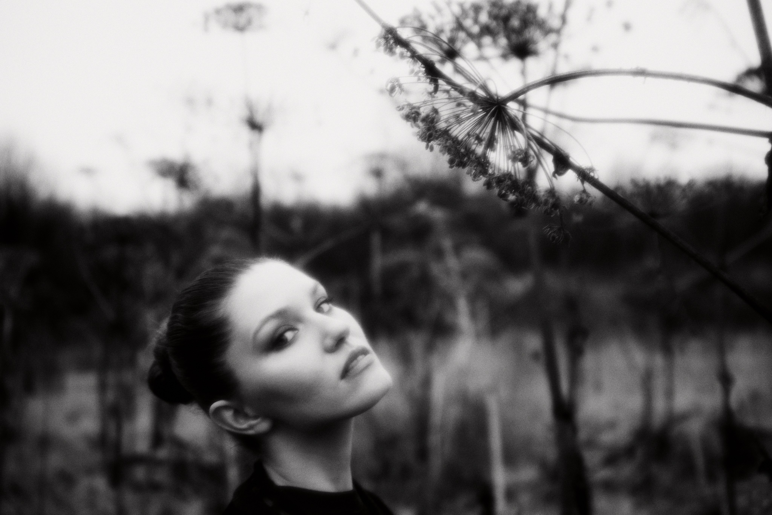 Hogweed. Fashion Photographer Oxana Chernomorets