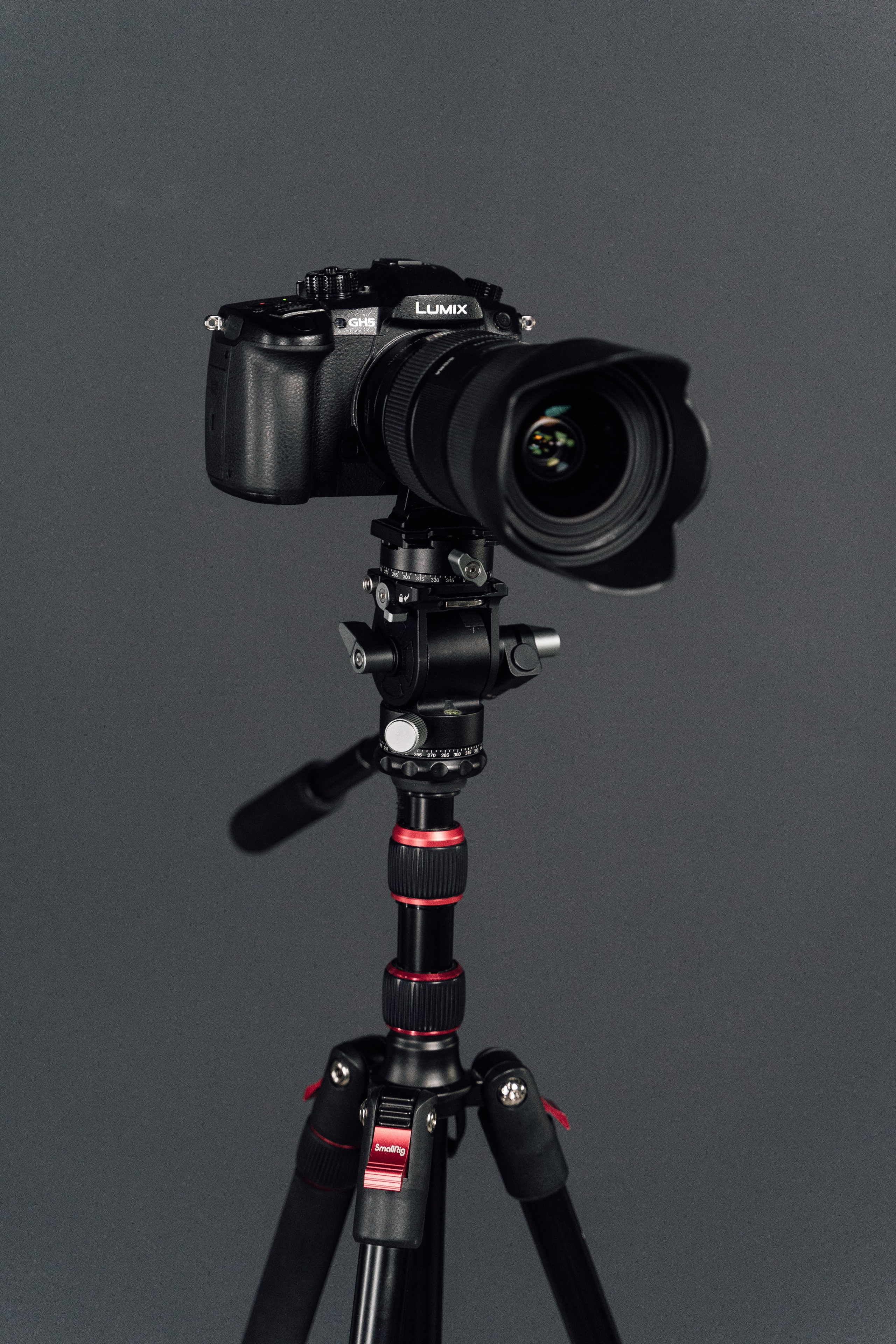 Интерьерная. Kamelia Candy фотограф Самара/ Москва