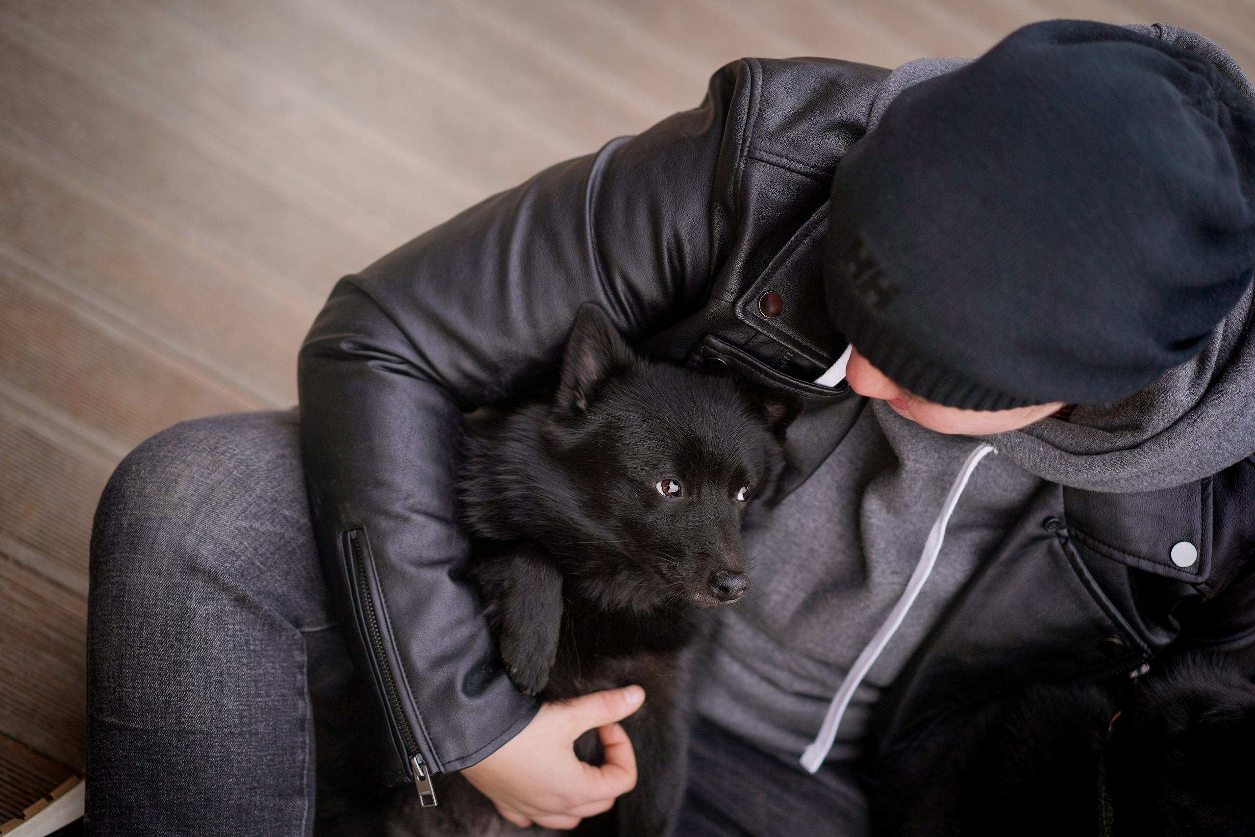 Аня Арчи и Мишель. Фотограф-анималист в Санкт-Петербурге Яна Мартынова