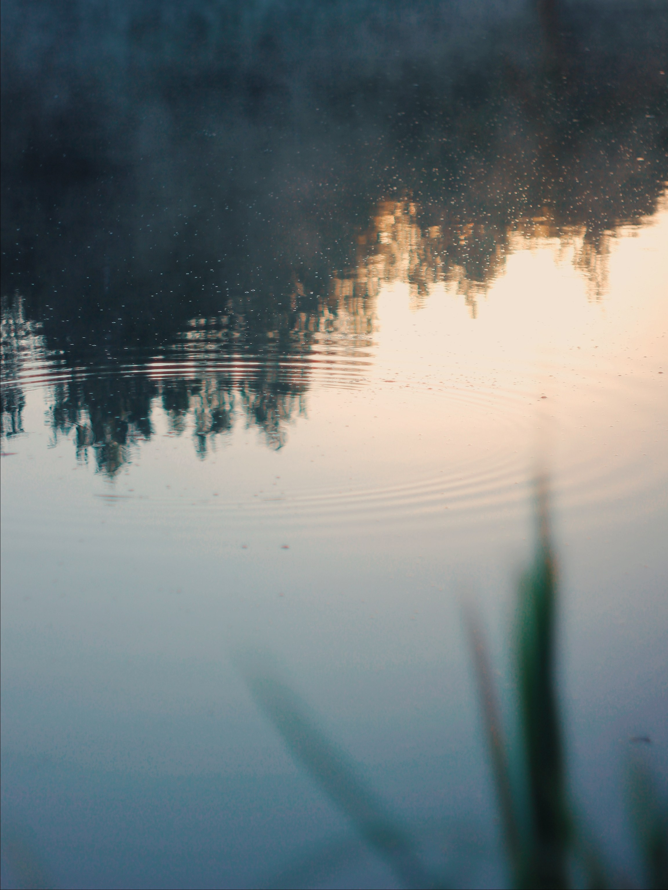 Эфемерность моментов. С любовью, фотохудожник