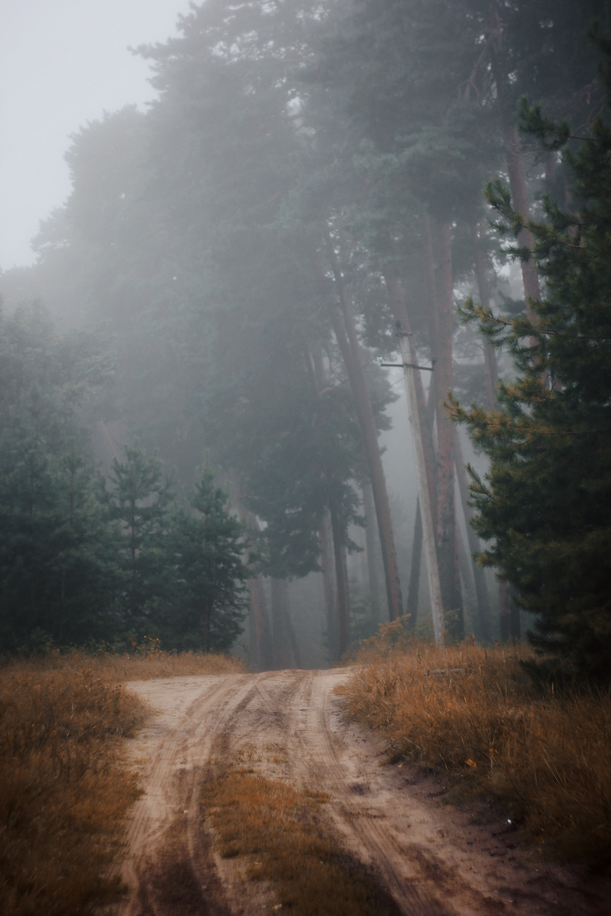 Меланхолия августа. С любовью, фотохудожник
