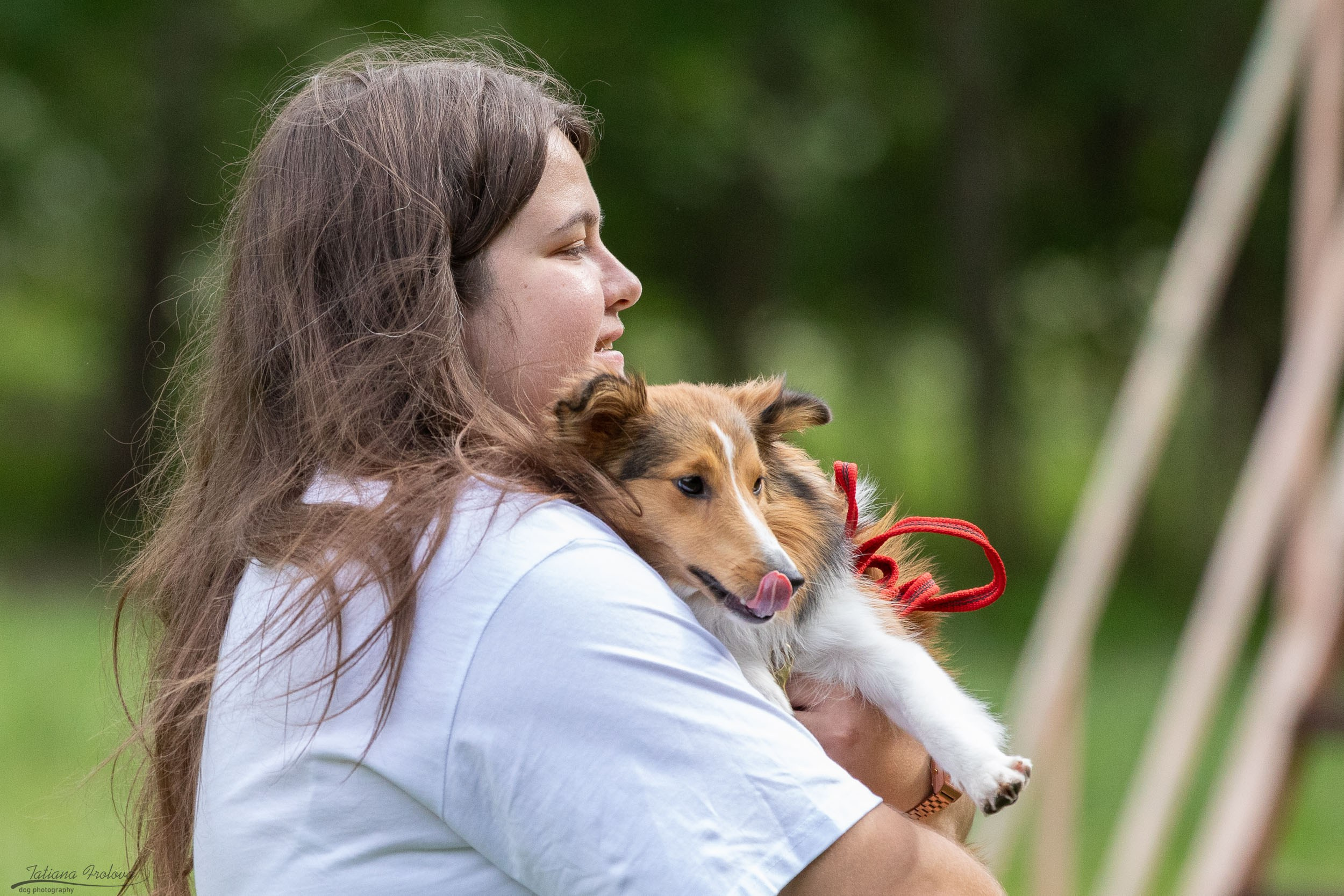 Репортаж с выводки молодняка колли/шелти в Ясенево. Фотограф-анималист в Москве и Московской области Татьяна Фролова
