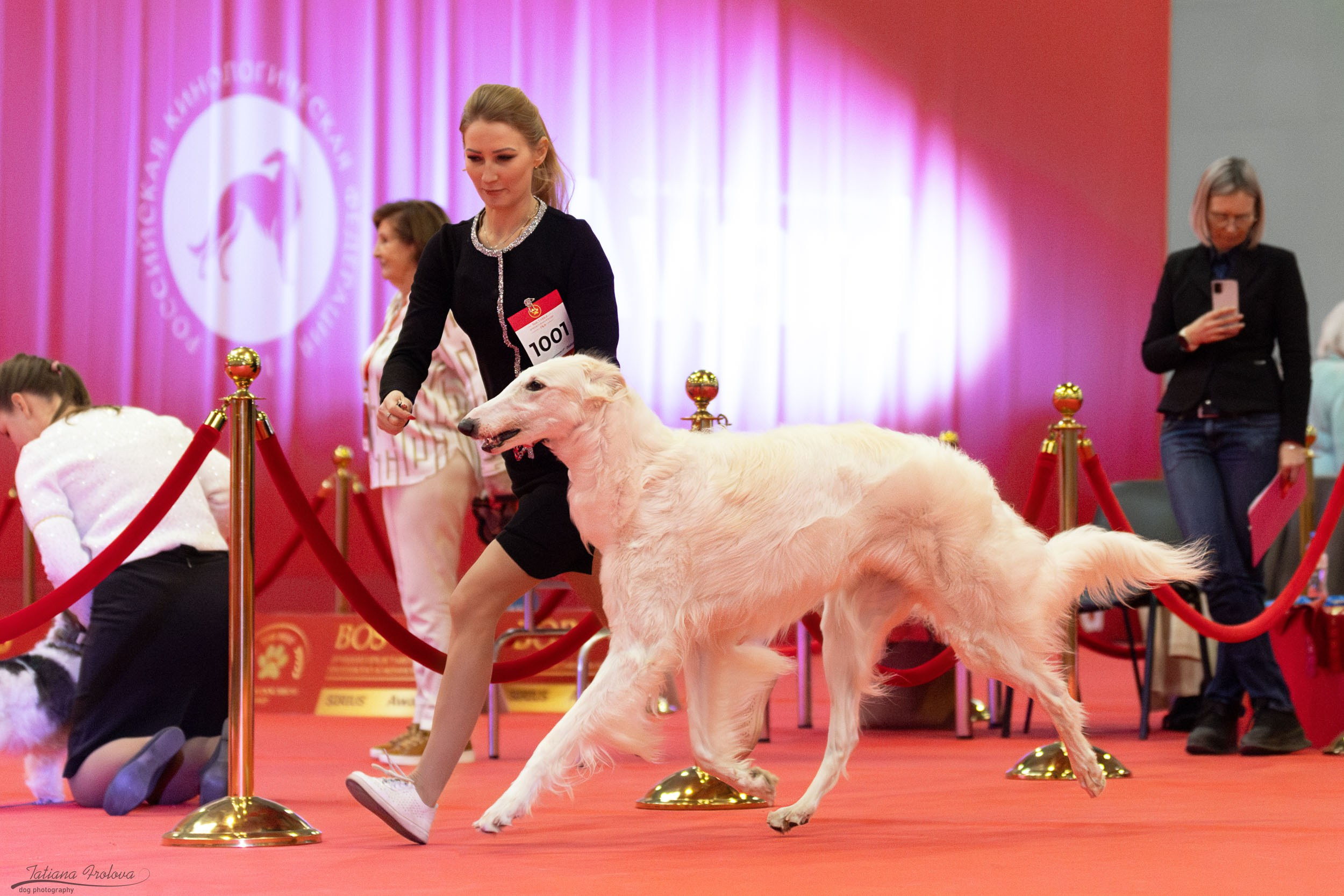 Фото с выставки РКФ. Фотограф-анималист в Москве и Московской области Татьяна Фролова