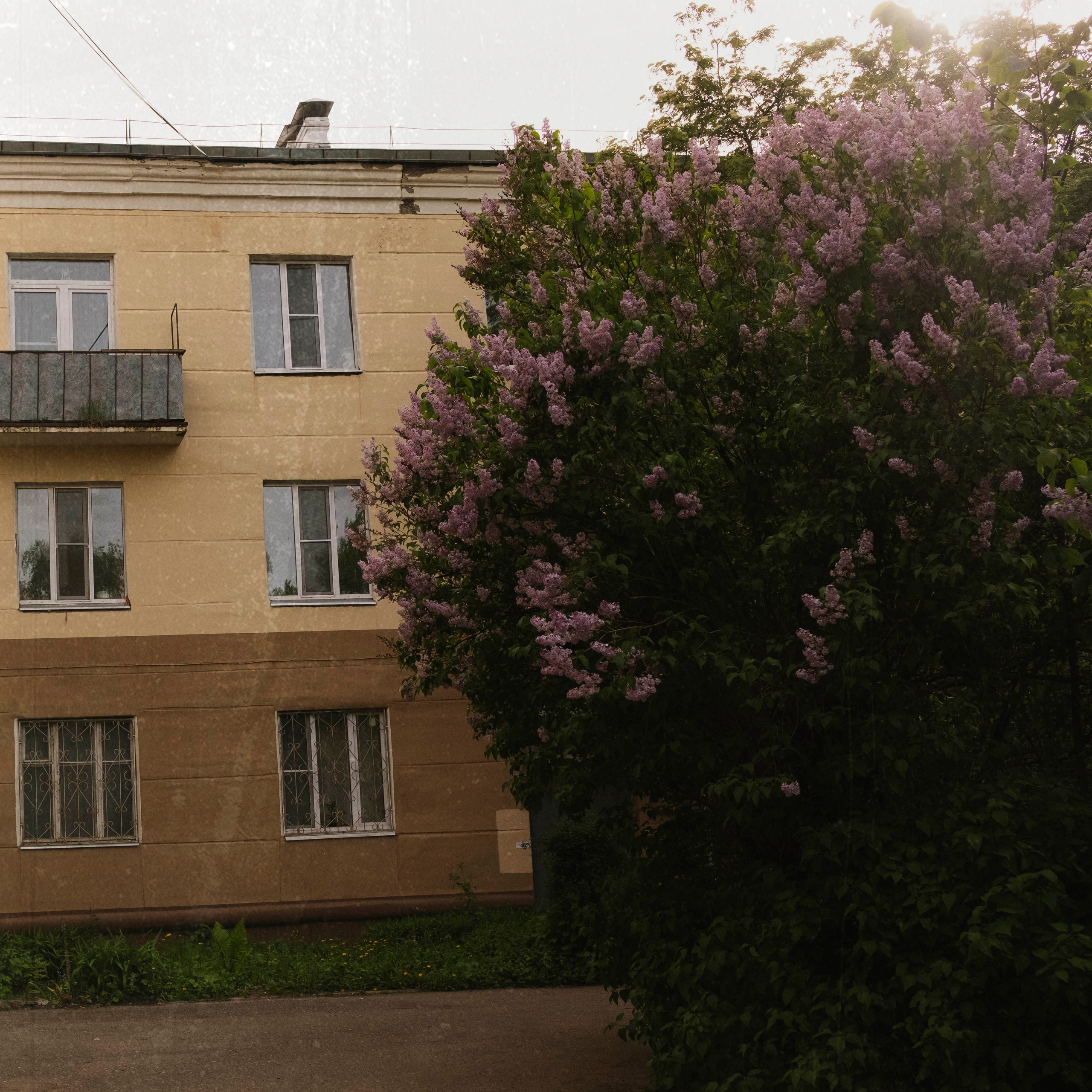 Серпухов, 2020. Портретный фотограф в Москве Евгения Яковенко