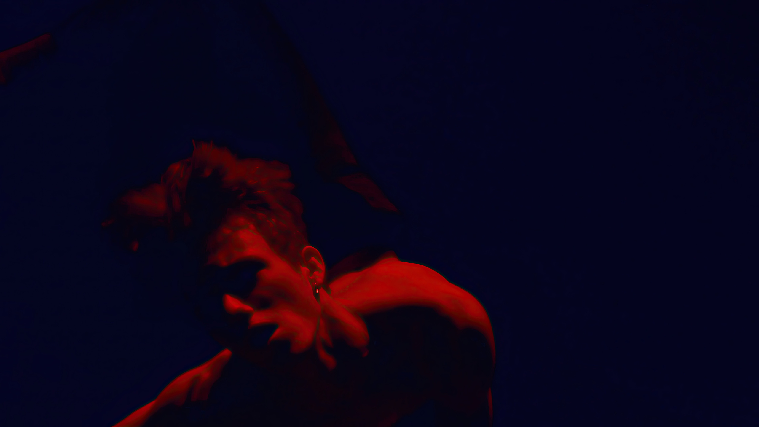 HAUK — ЗАРНИЦА. ALEXANDER VESELKOV — ФОТОГРАФ | NFT ARTIST | РЕЖИССЕР I VISUAL ARTIST