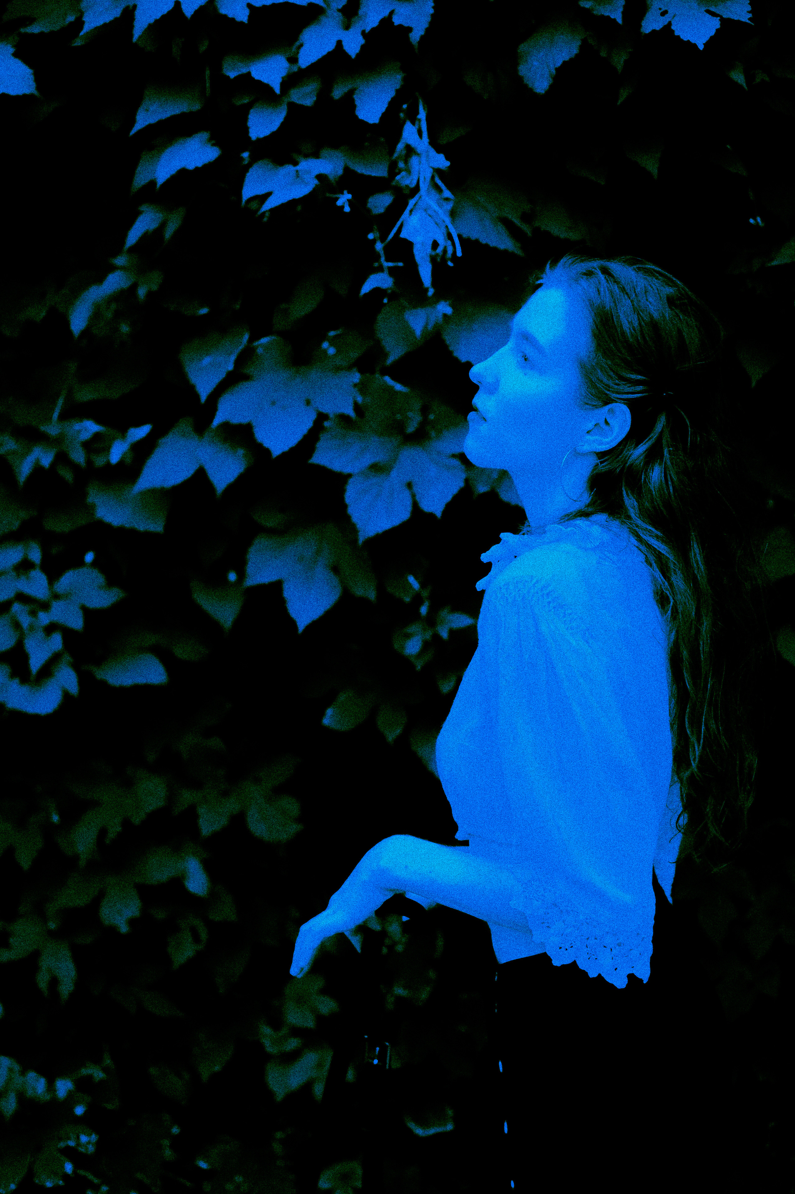 Уникальные образы прекрасной молодой девушки на фотосессии с обработкой под цианотипию. Насыщенный синий цвет создает особую атмосферу на фоне живой стены летнего сада. Фотограф: Alexander Veselkov - Photographer | AV.