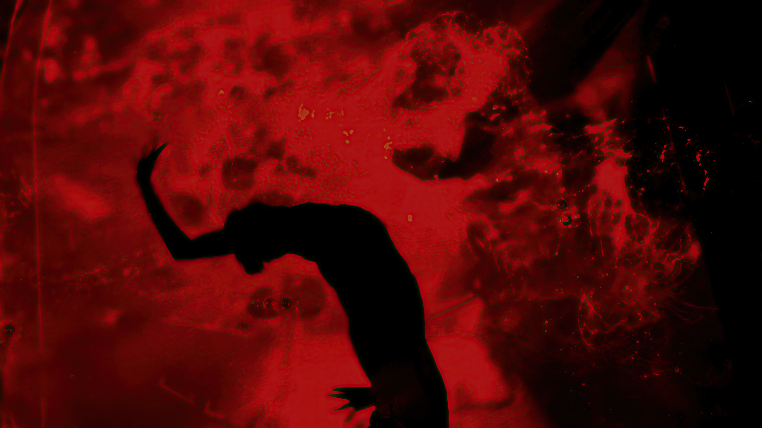 HAUK — ЗАРНИЦА. ALEXANDER VESELKOV — ФОТОГРАФ | NFT ARTIST | РЕЖИССЕР I VISUAL ARTIST