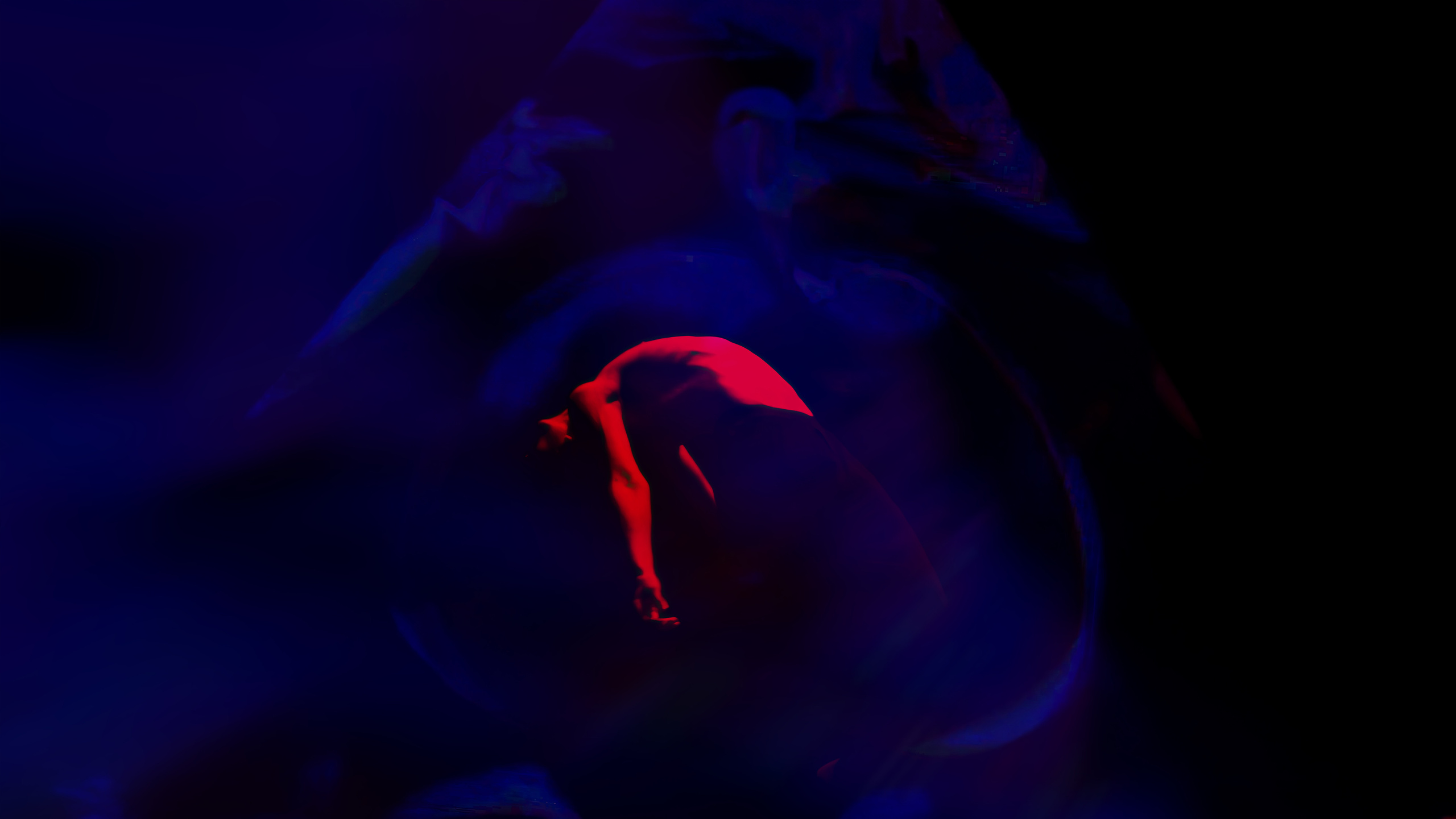 HAUK — ЗАРНИЦА. ALEXANDER VESELKOV — ФОТОГРАФ | NFT ARTIST | РЕЖИССЕР I VISUAL ARTIST