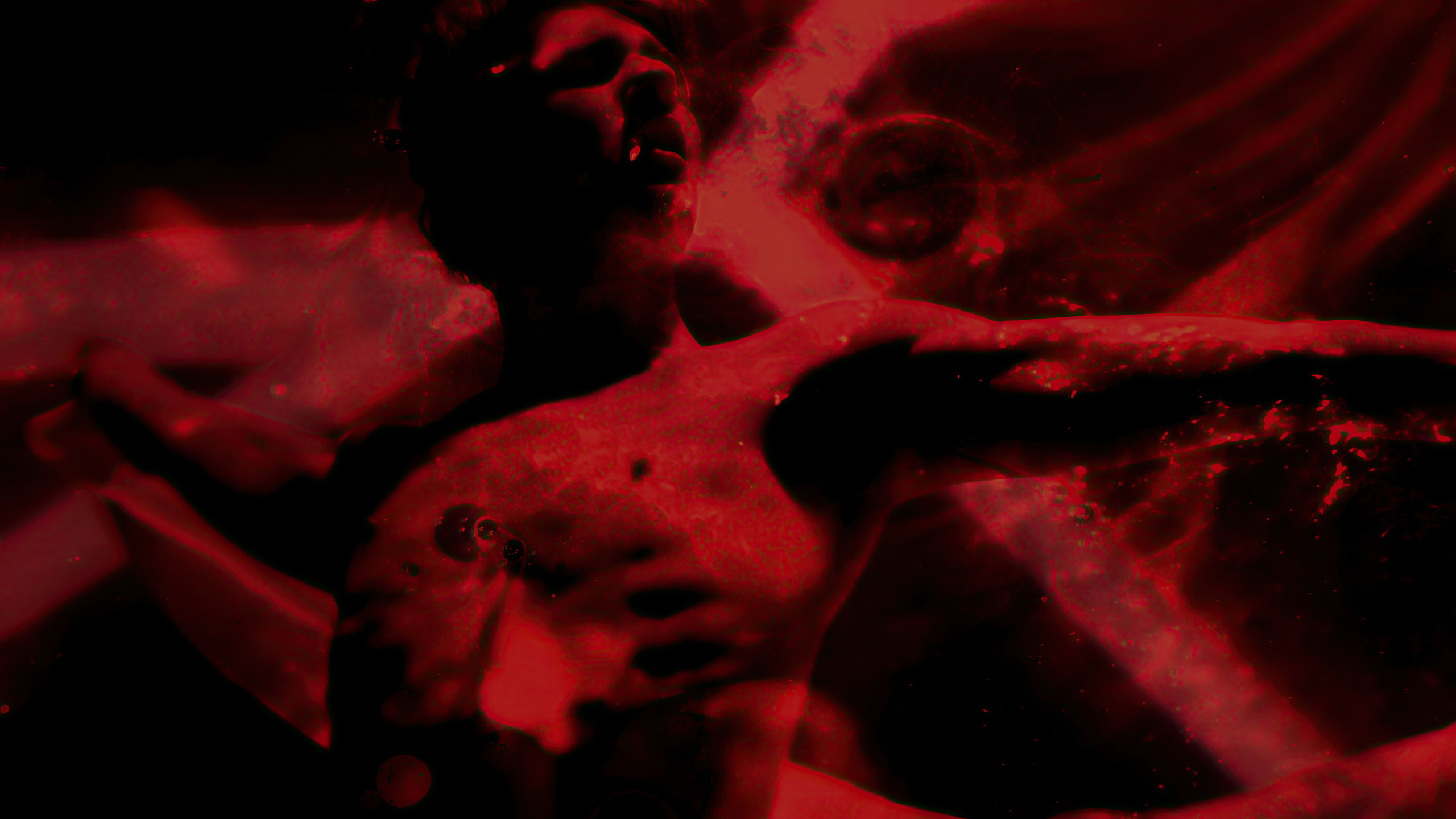 HAUK — ЗАРНИЦА. ALEXANDER VESELKOV — ФОТОГРАФ | NFT ARTIST | РЕЖИССЕР I VISUAL ARTIST