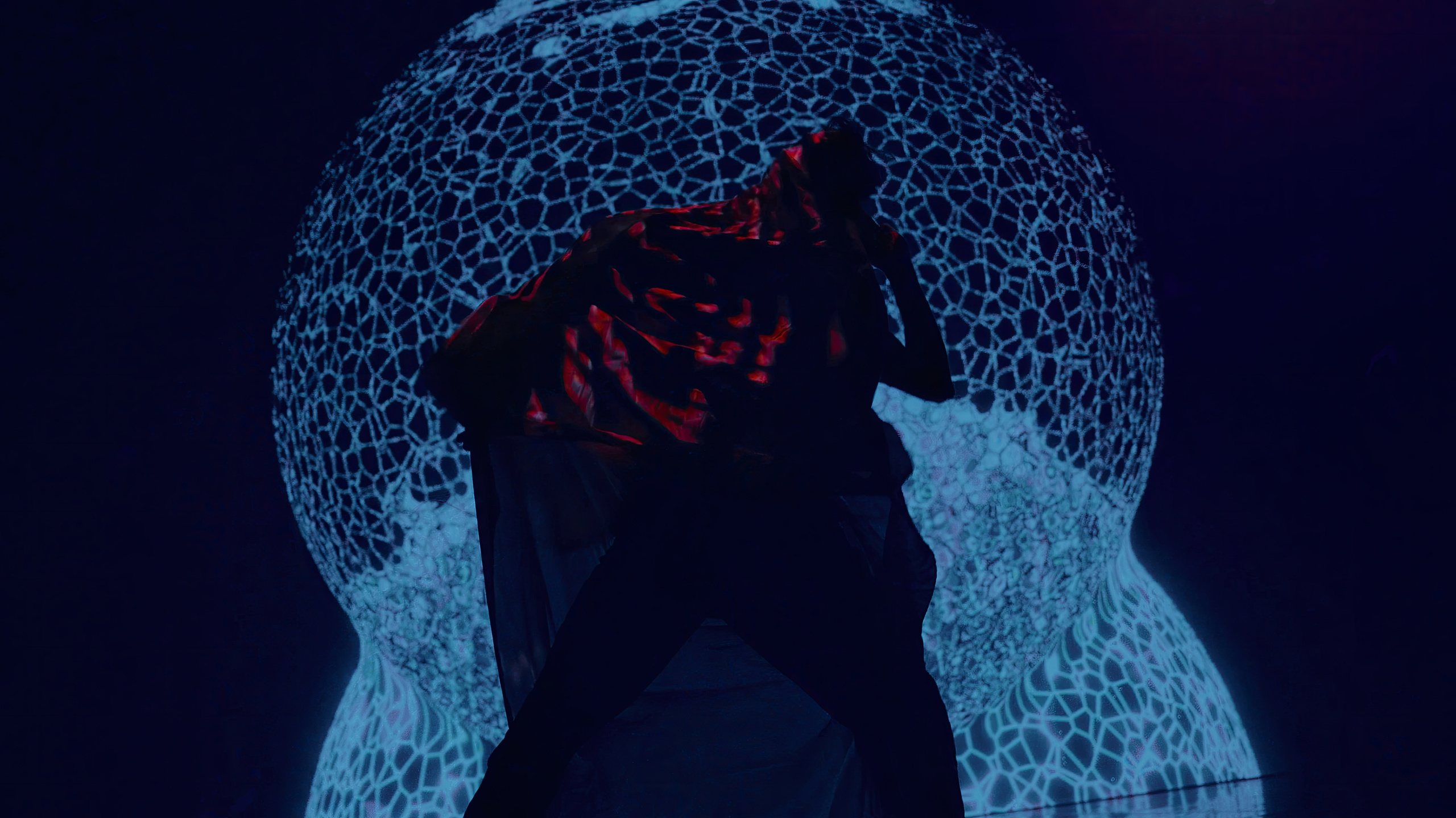 HAUK — ЗАРНИЦА. ALEXANDER VESELKOV — ФОТОГРАФ | NFT ARTIST | РЕЖИССЕР I VISUAL ARTIST