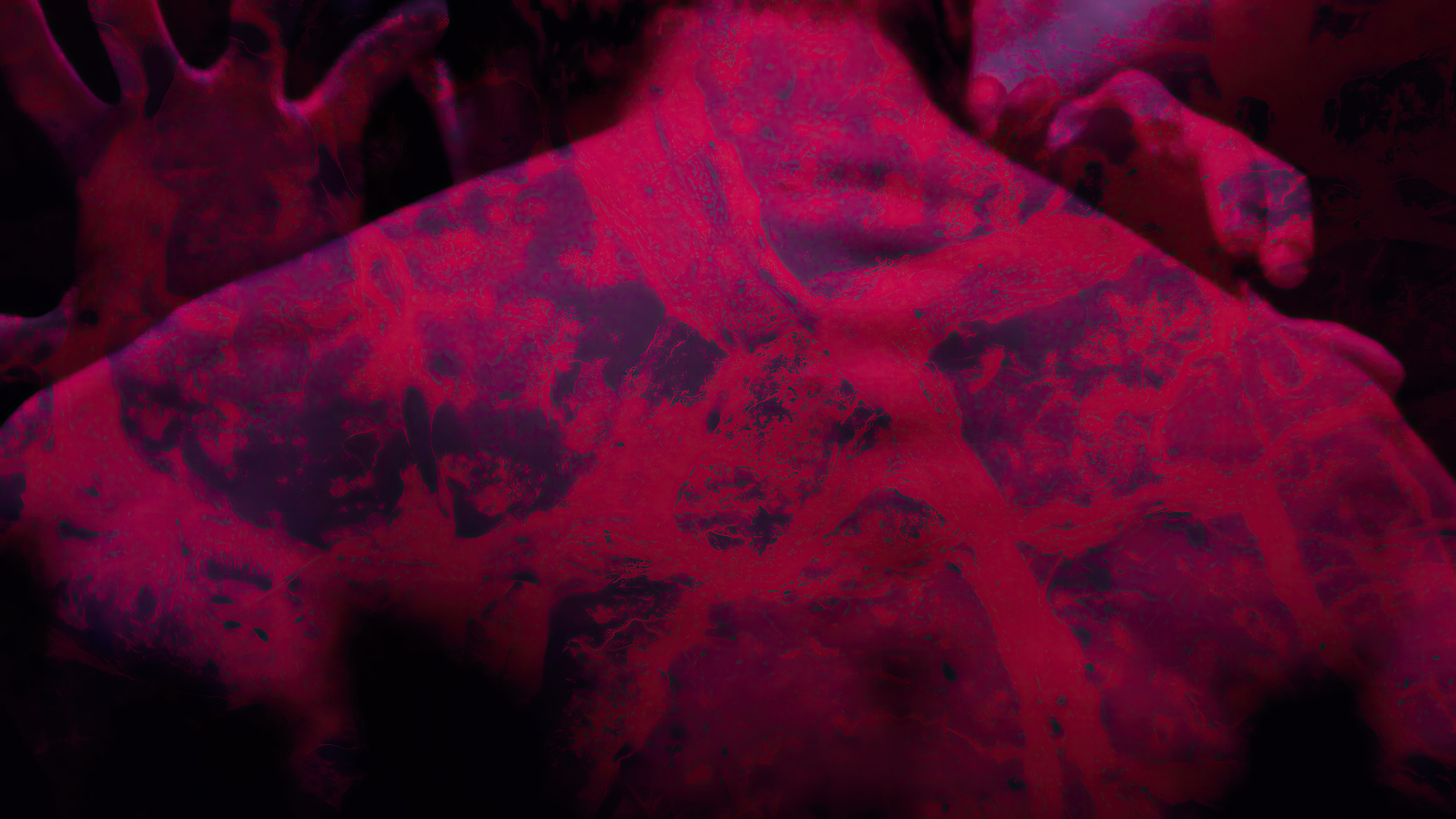 HAUK — ЗАРНИЦА. ALEXANDER VESELKOV — ФОТОГРАФ | NFT ARTIST | РЕЖИССЕР I VISUAL ARTIST