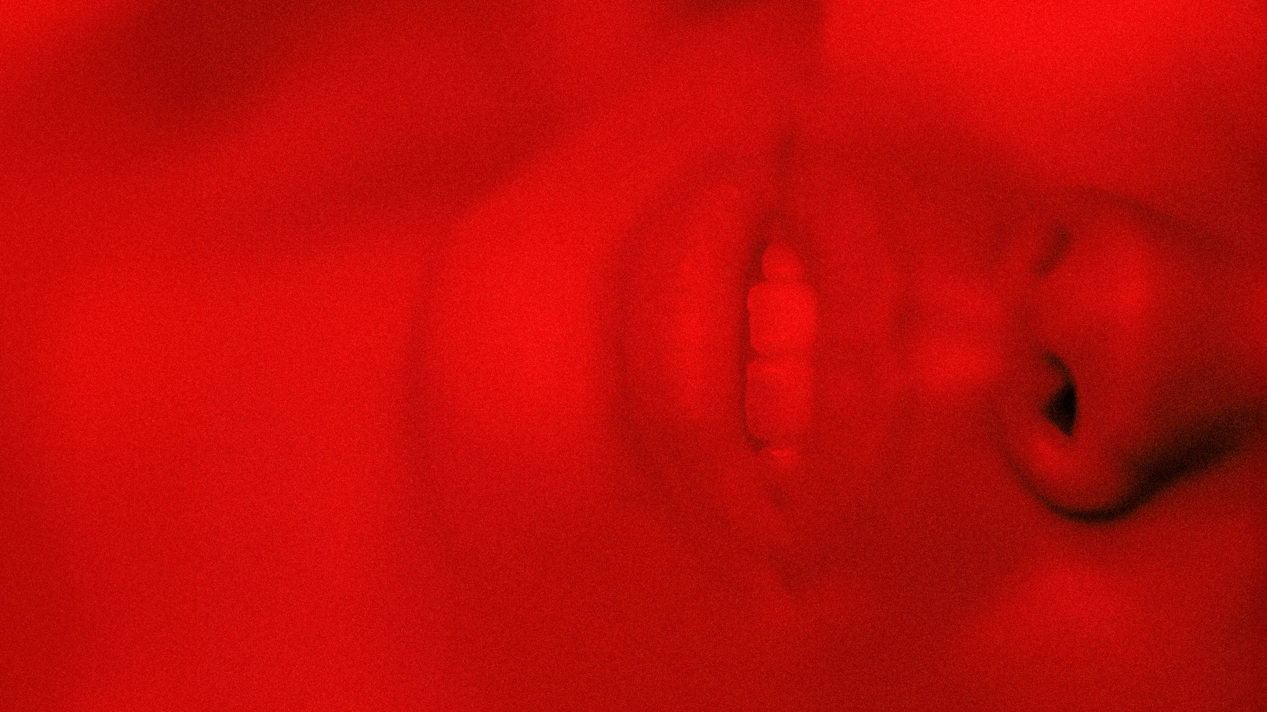 Чувственная фотосессия в красной комнате, где уникальные кадры подчеркивают моменты страсти. Фотограф: Alexander Veselkov - Photographer| AV