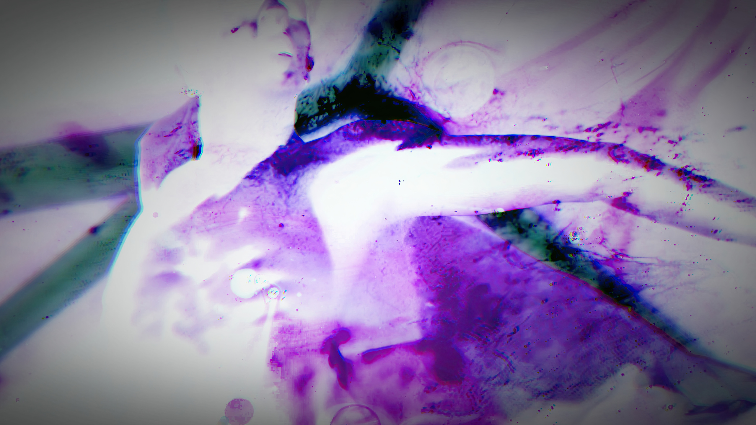 HAUK — ЗАРНИЦА. ALEXANDER VESELKOV — ФОТОГРАФ | NFT ARTIST | РЕЖИССЕР I VISUAL ARTIST