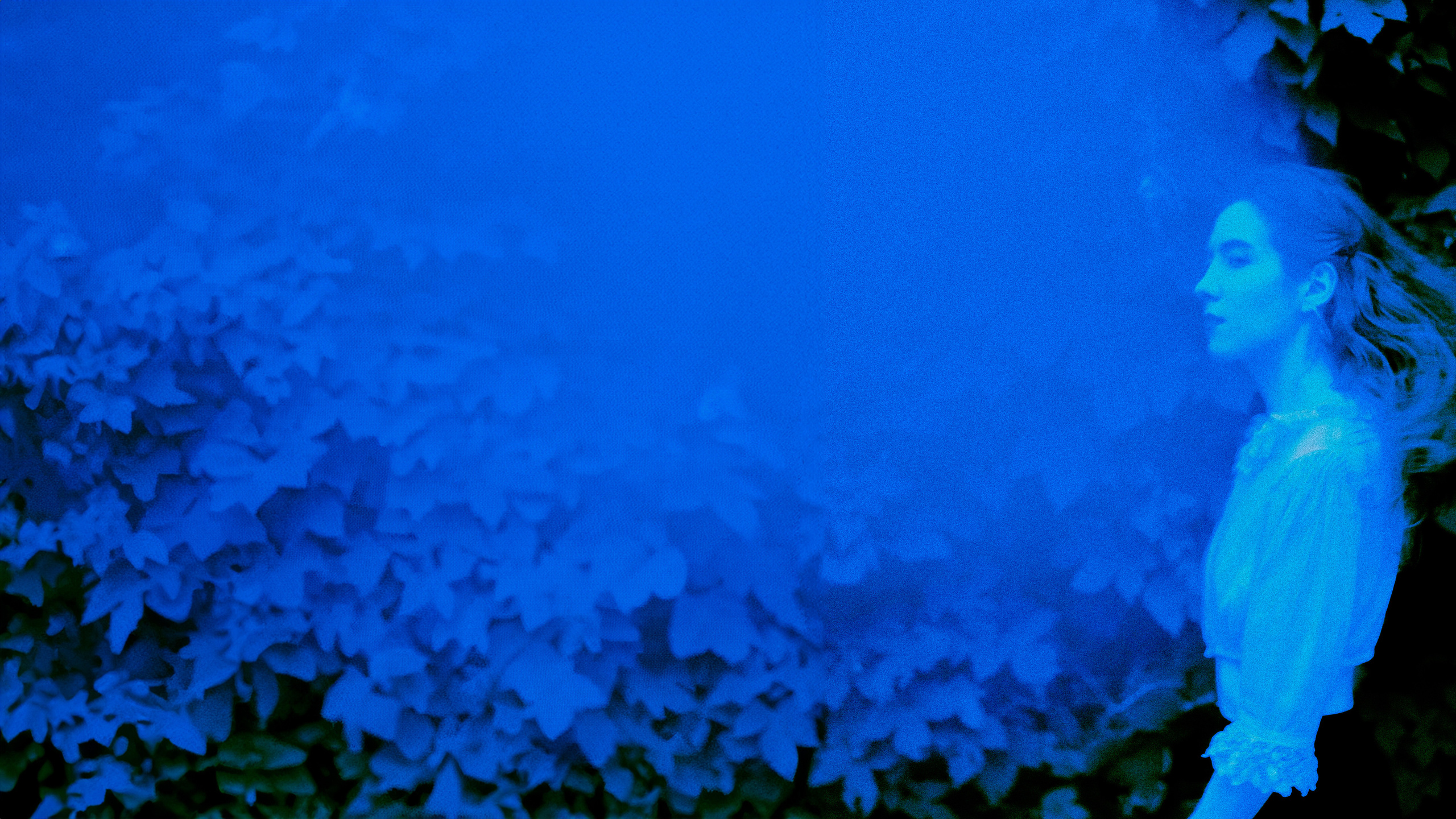 CYANOTYPE KAYA. ALEXANDER VESELKOV — ФОТОГРАФ | NFT ARTIST | РЕЖИССЕР I VISUAL ARTIST