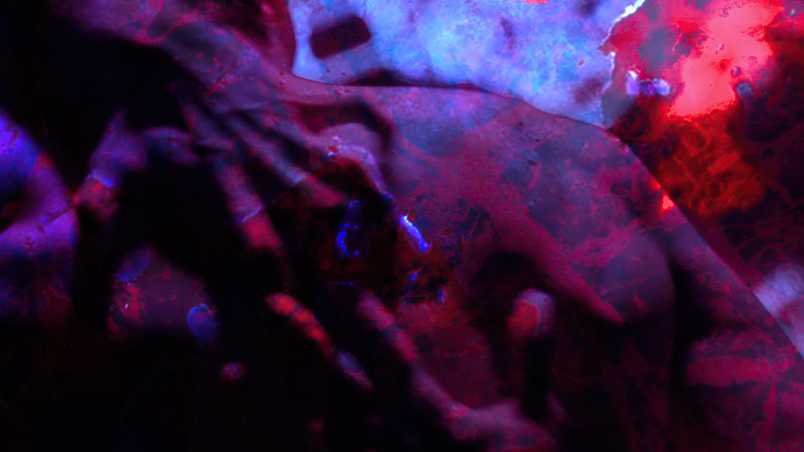 HAUK — ЗАРНИЦА. ALEXANDER VESELKOV — ФОТОГРАФ | NFT ARTIST | РЕЖИССЕР I VISUAL ARTIST