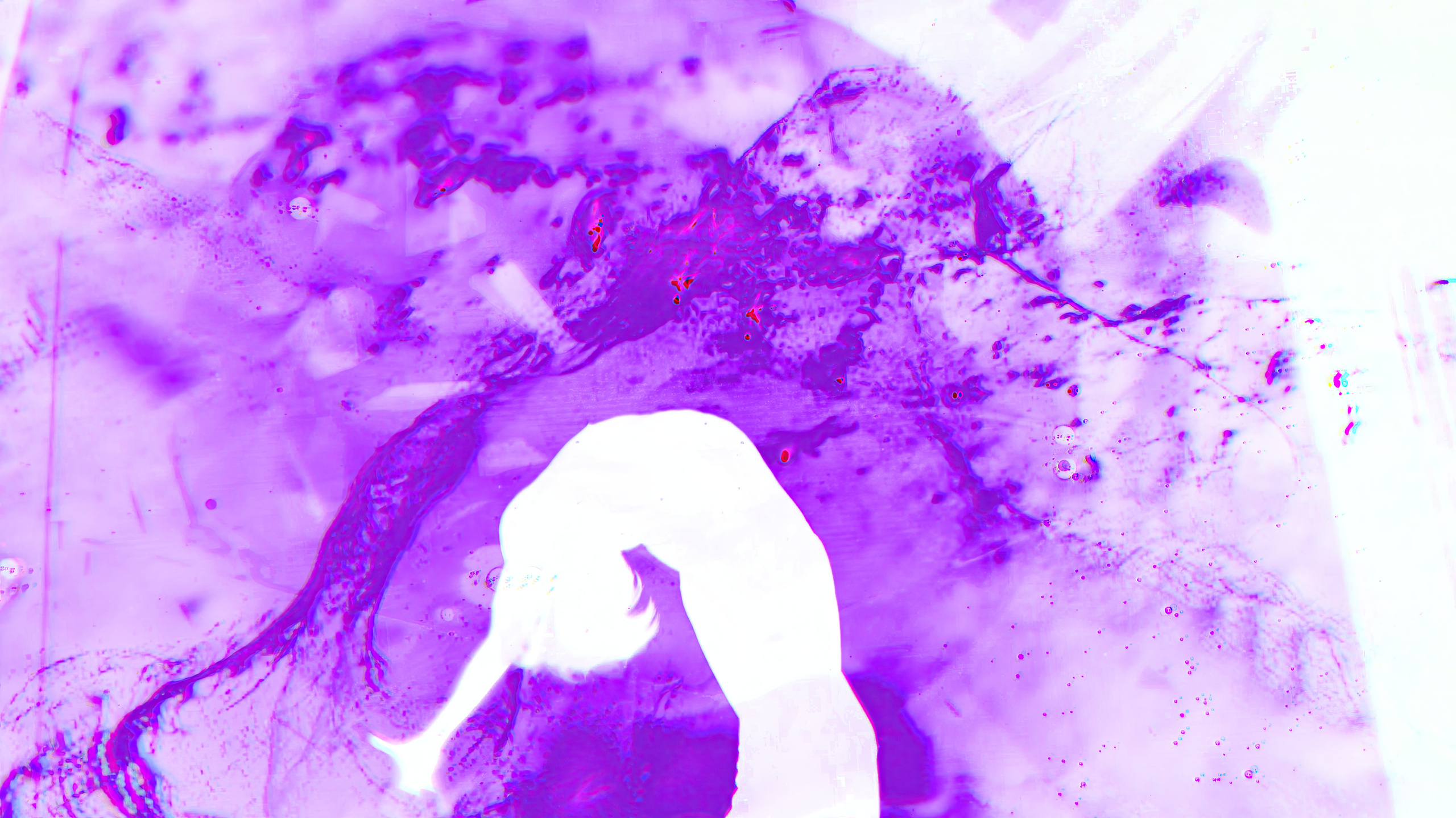 HAUK — ЗАРНИЦА. ALEXANDER VESELKOV — ФОТОГРАФ | NFT ARTIST | РЕЖИССЕР I VISUAL ARTIST