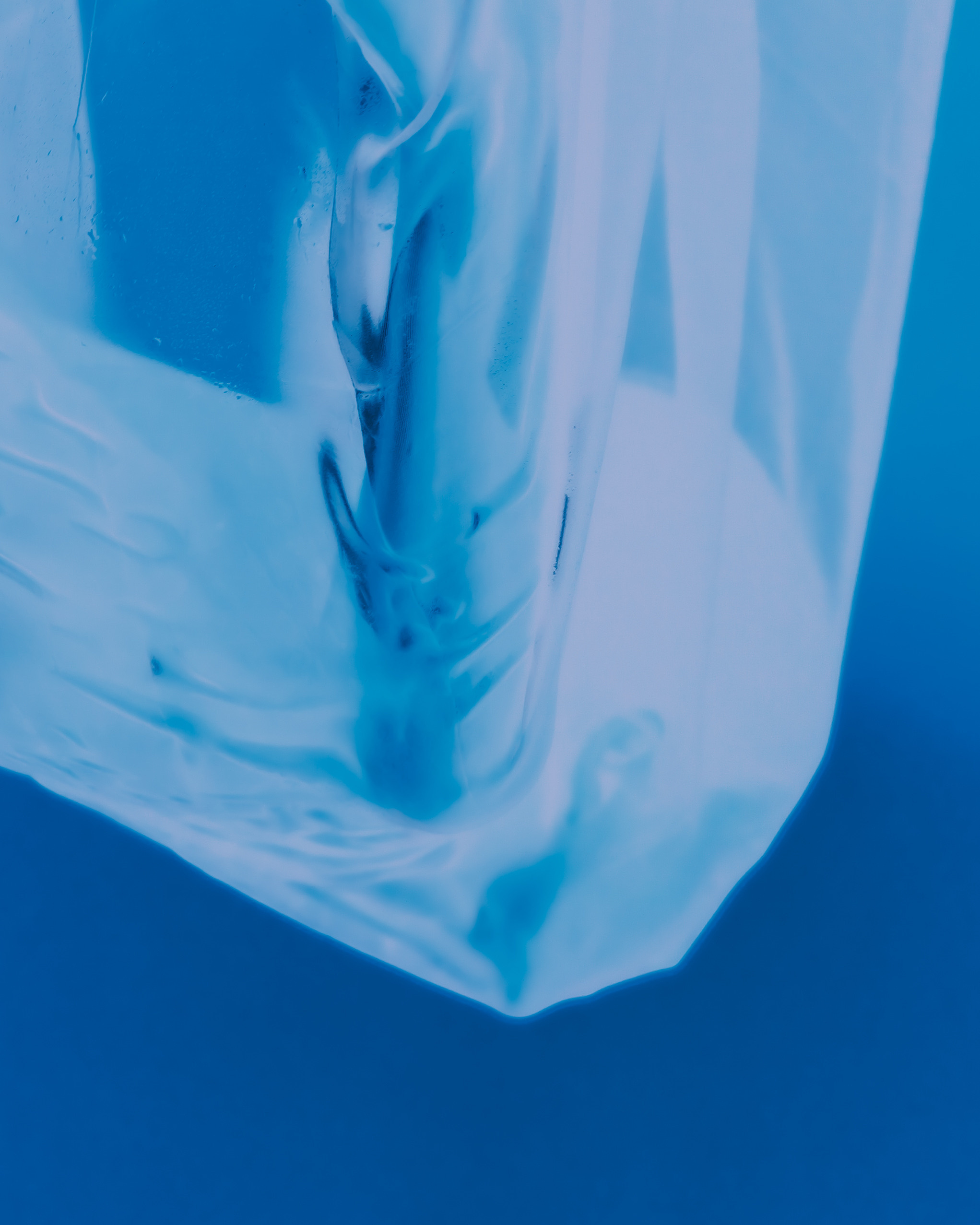 Заказать и оплатить Digital ART съемку. ALEXANDER VESELKOV — ФОТОГРАФ | NFT ARTIST | РЕЖИССЕР I VISUAL ARTIST