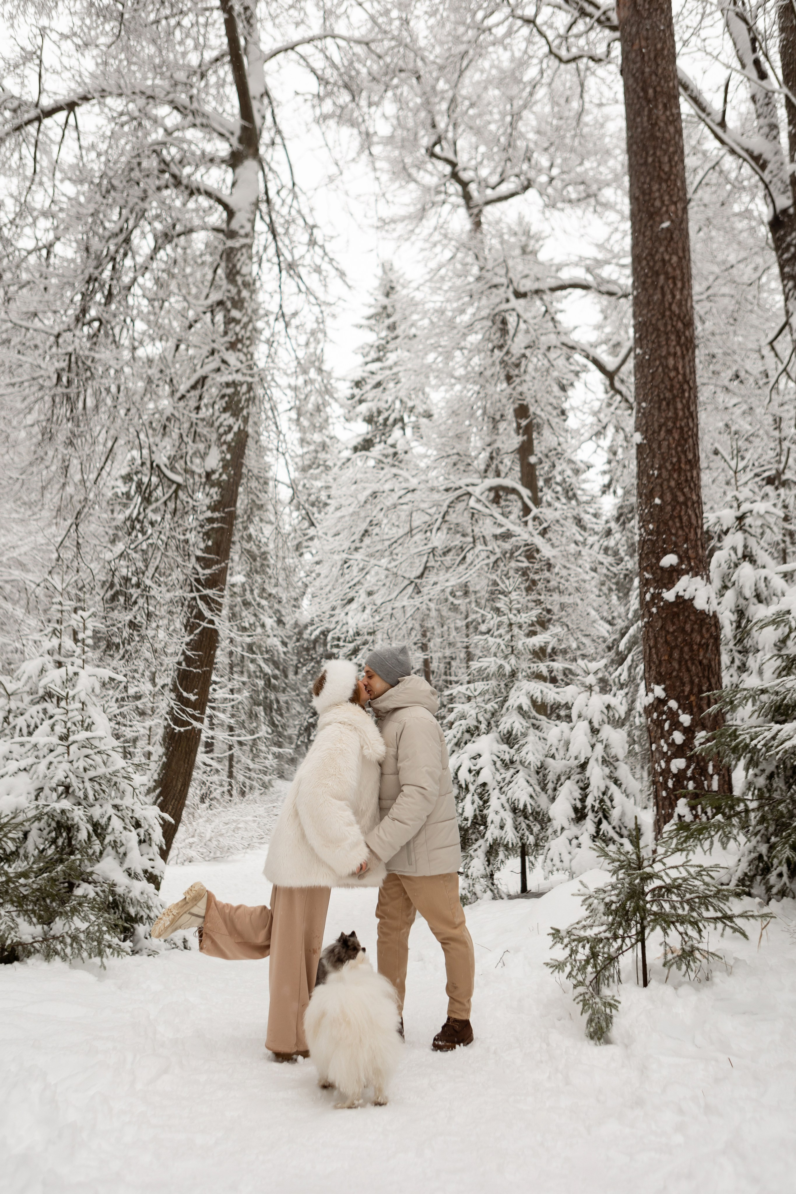 Новогодняя фотосессия с собачками в шуваловском парке. Свадебный фотограф в СПБ | Санкт-Петербурге Анастасия Рахимгулова