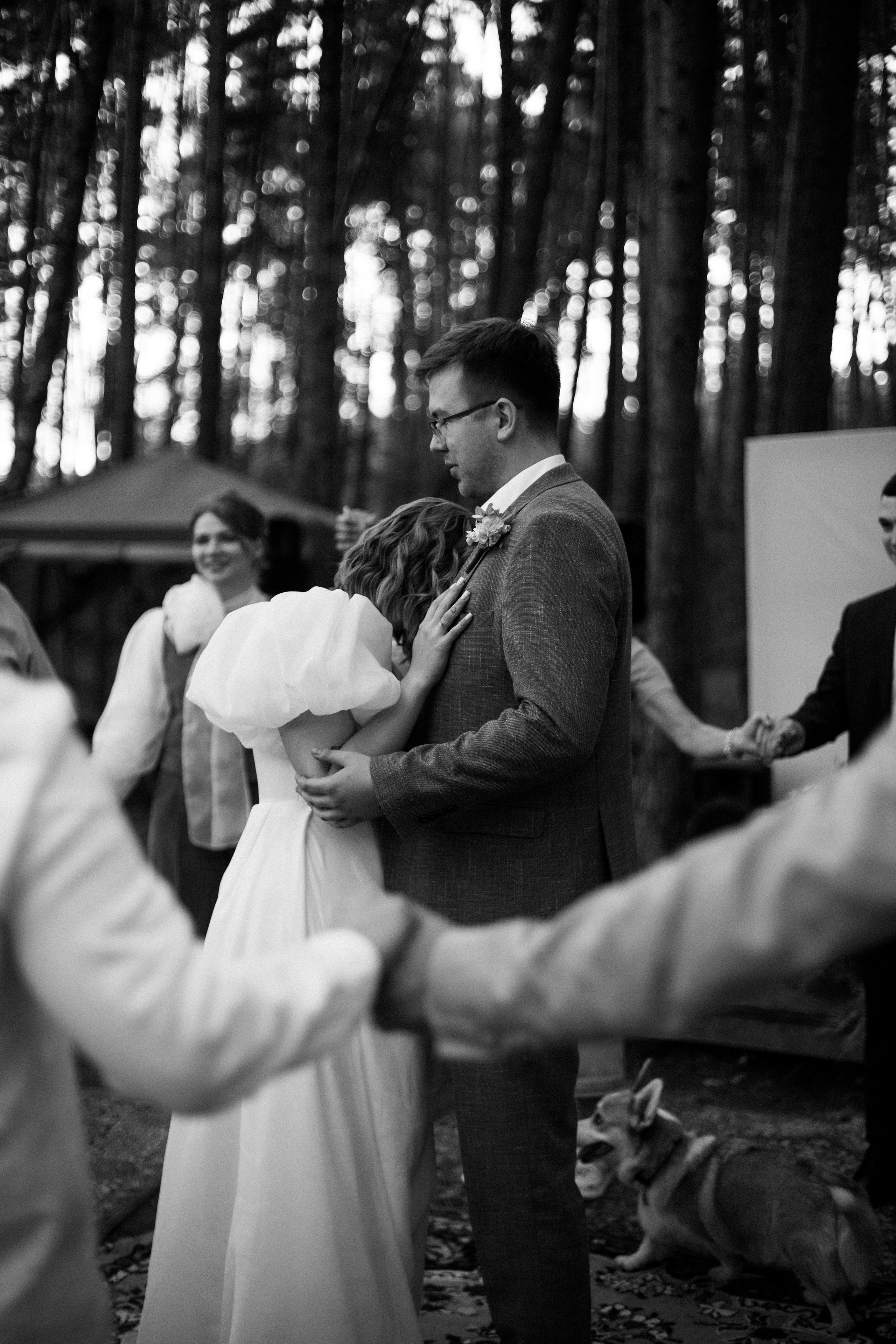 Корги свадьба в сосновом лесу. Фотограф Москва Жуковский Раменское