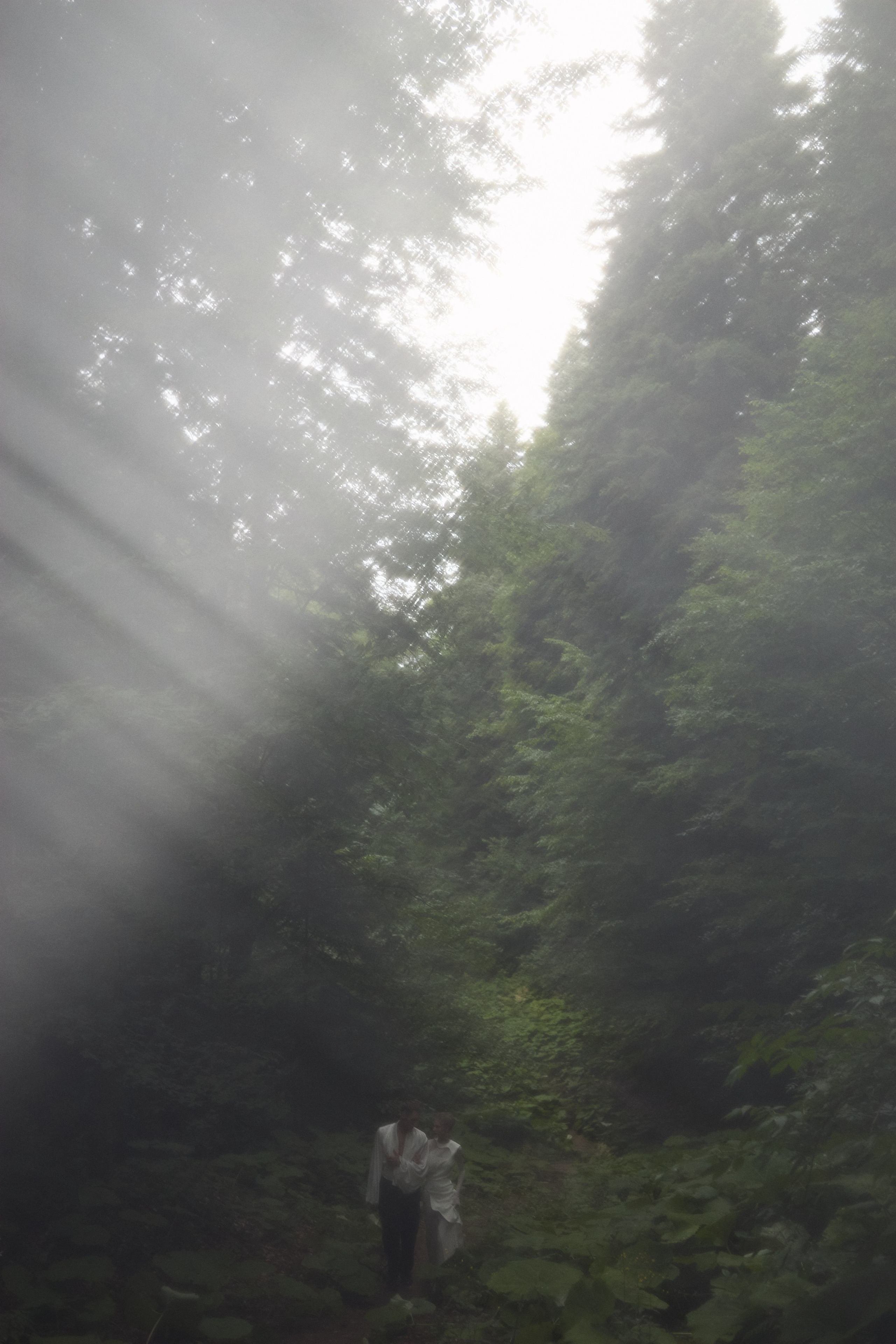 Денис и Наташа